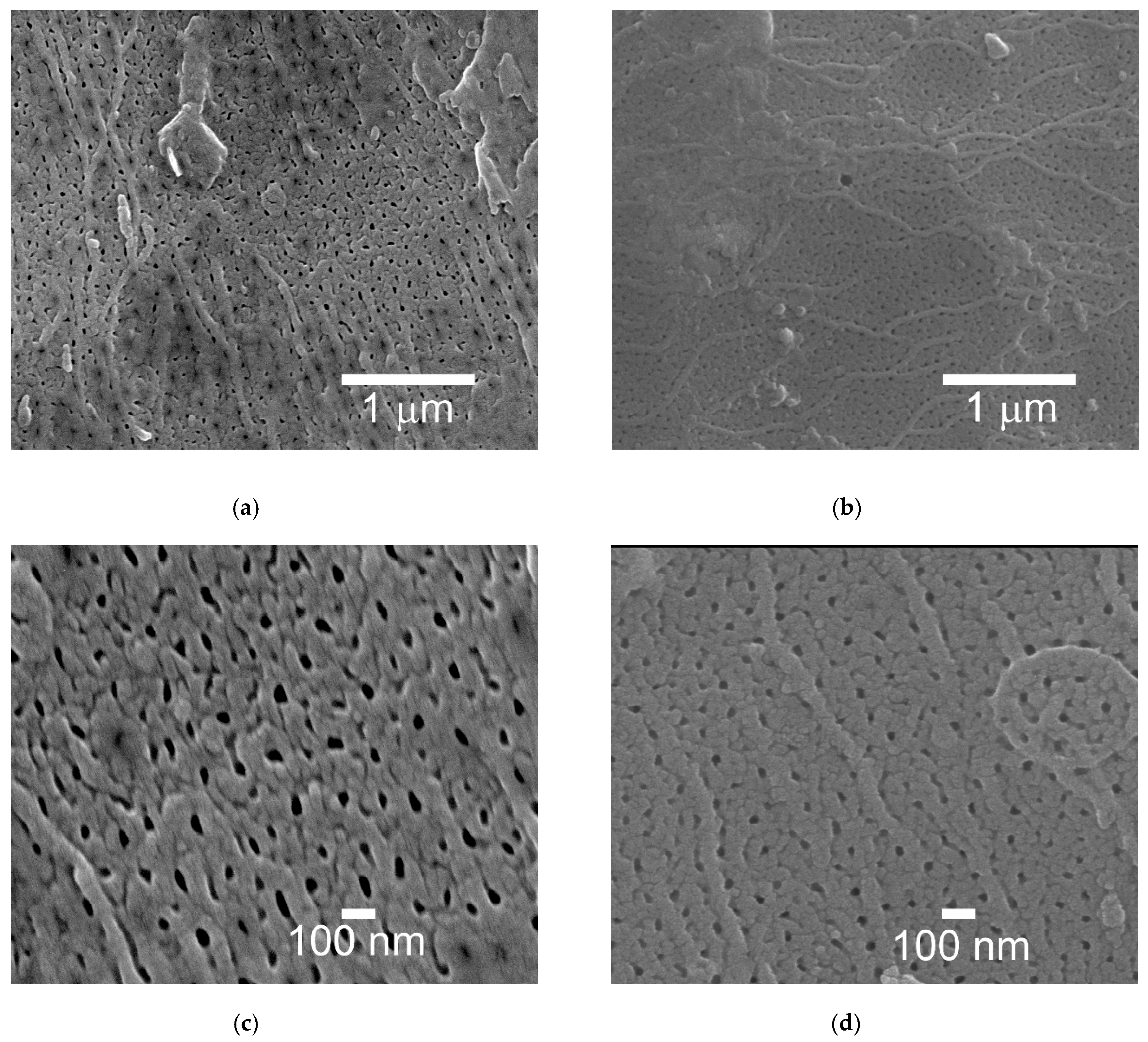 Materials 13 05491 g005