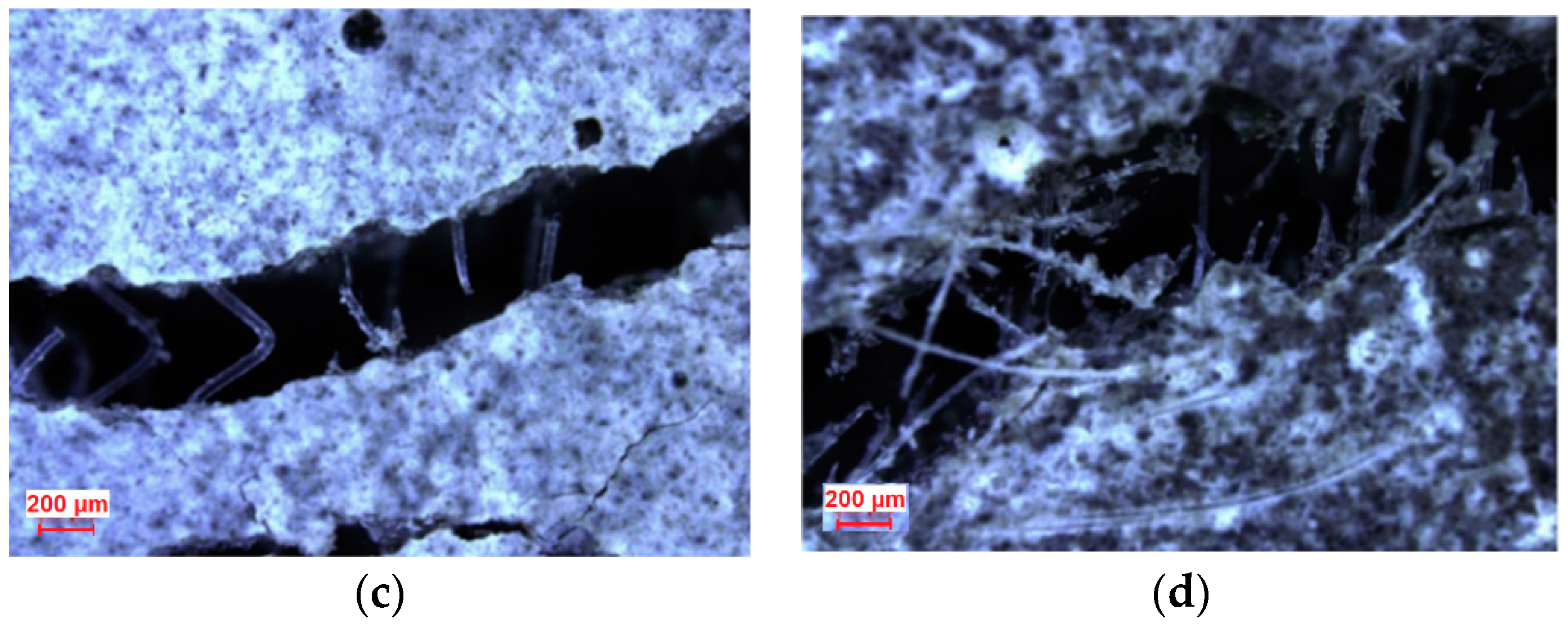 Materials 13 05495 g013b