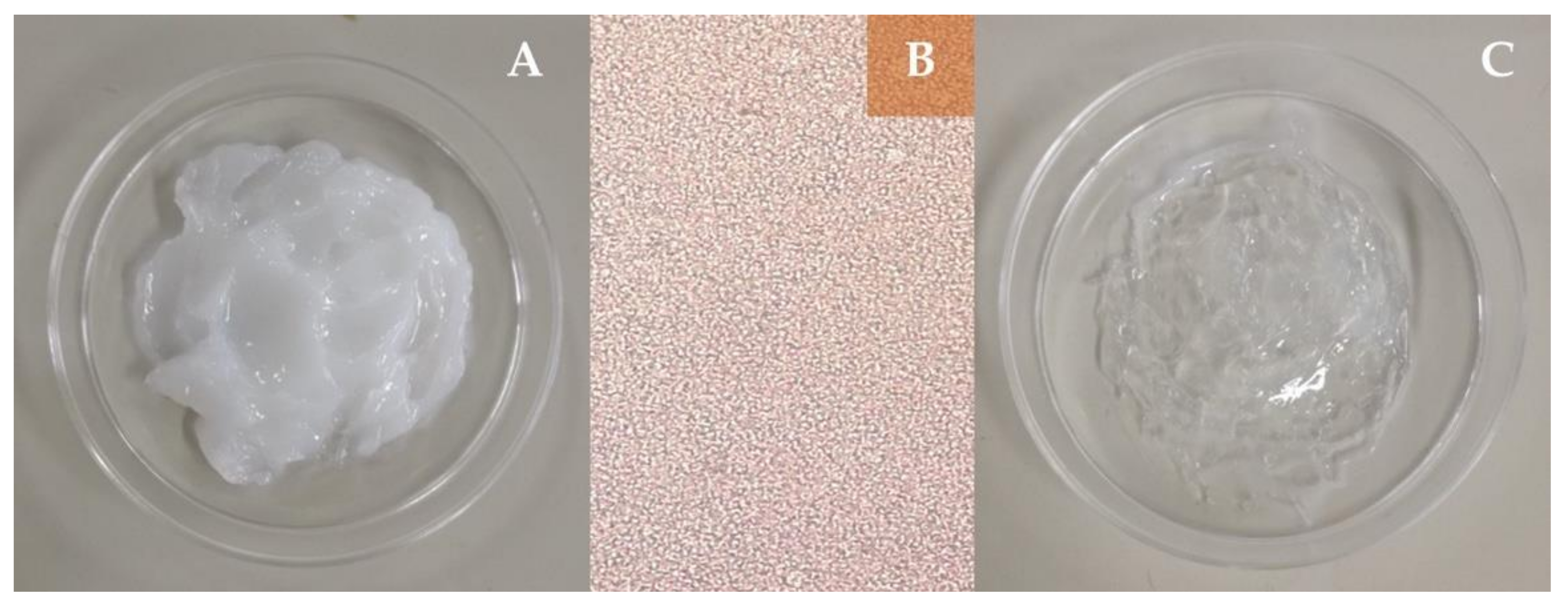 Materials 13 05499 g001