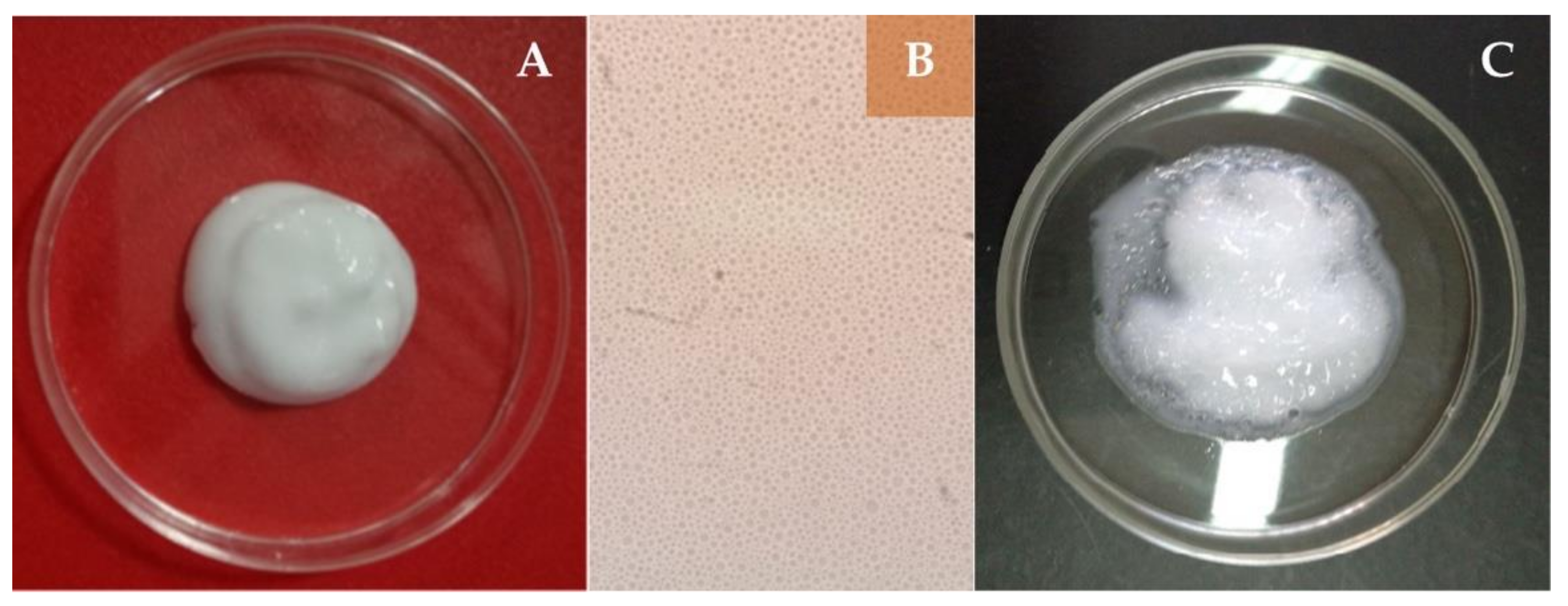 Materials 13 05499 g002