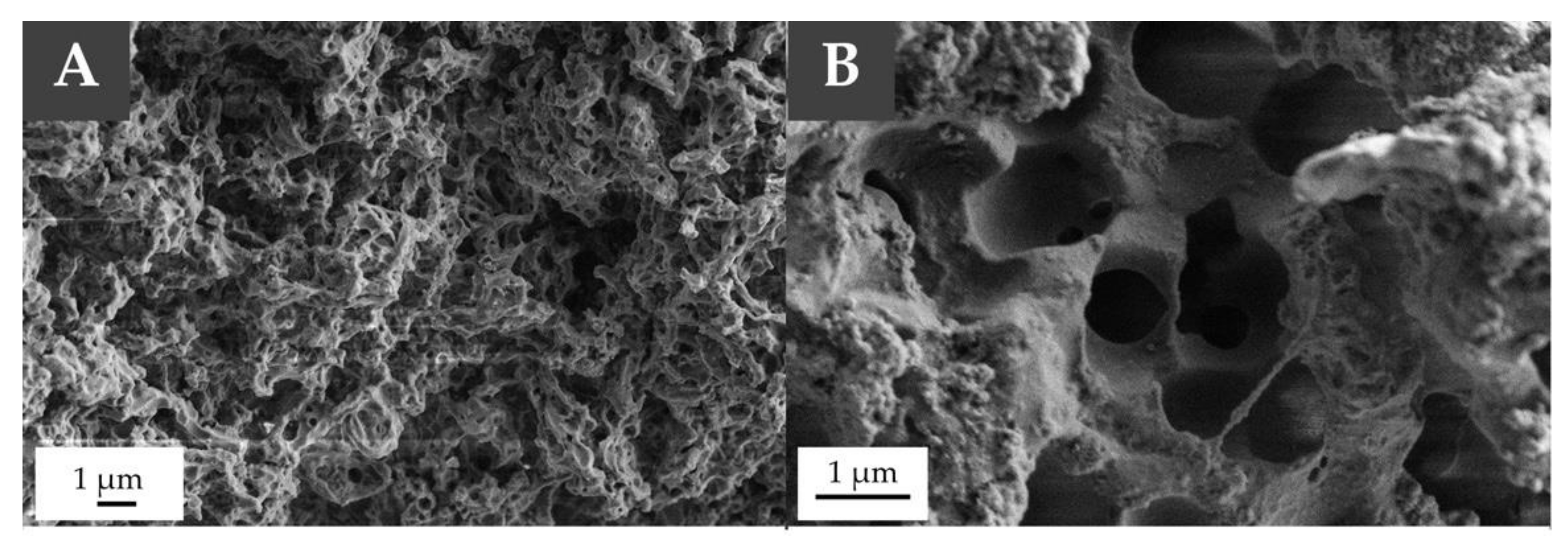 Materials 13 05499 g004