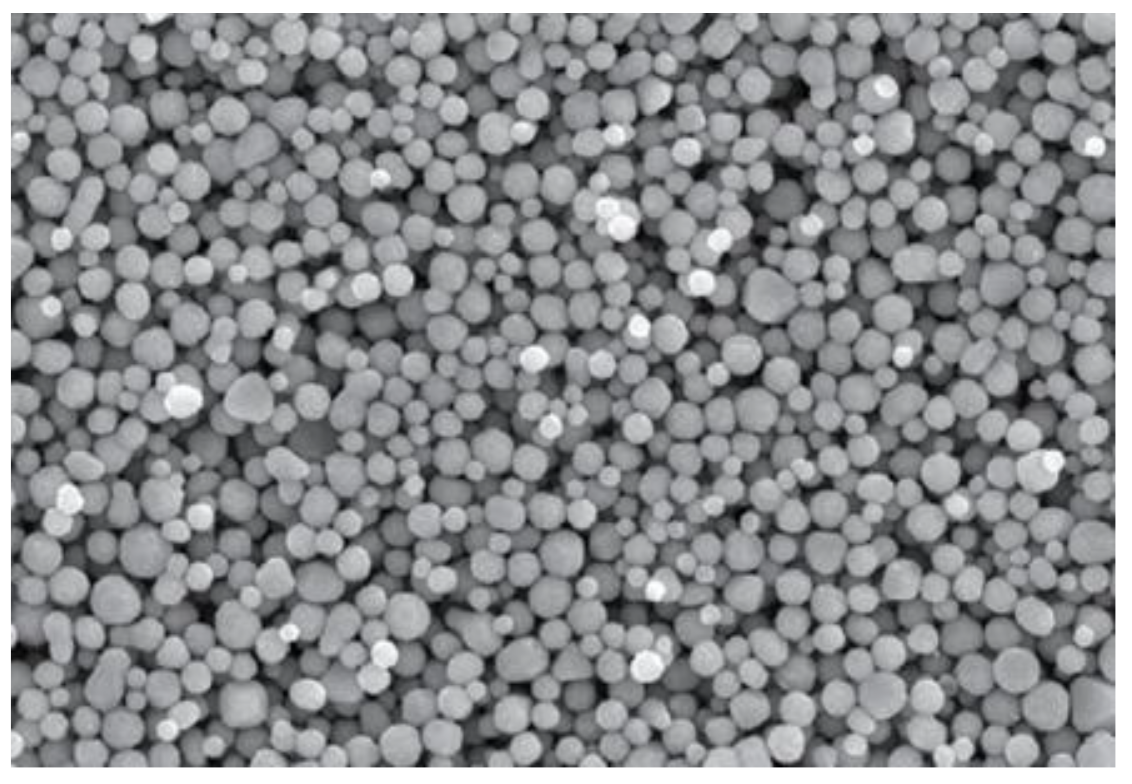 Materials 13 05509 g001