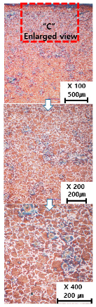 Materials 13 05516 i007