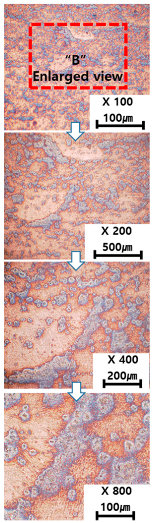 Materials 13 05516 i010