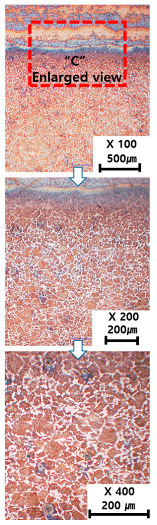 Materials 13 05516 i011