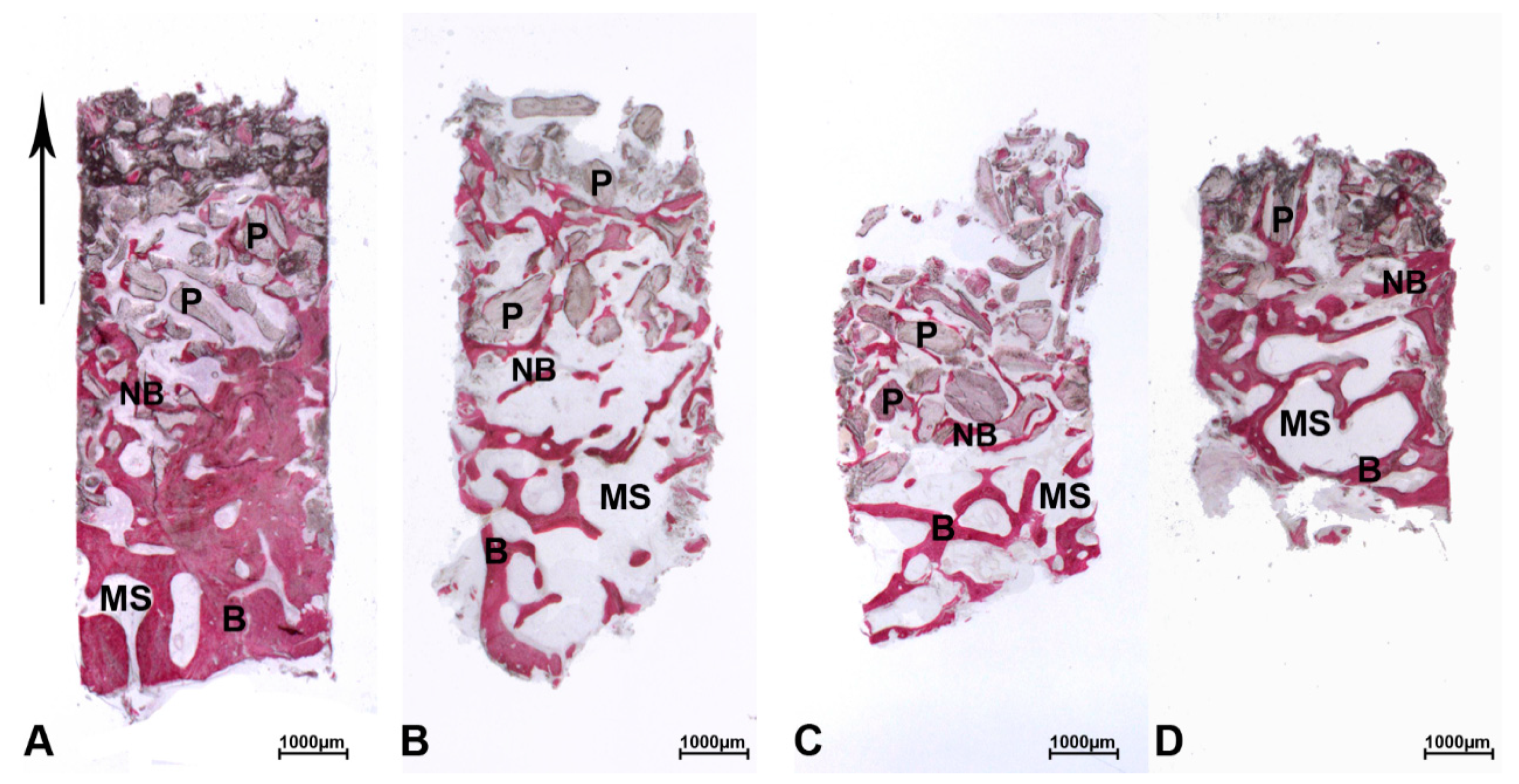 Materials 13 05520 g001