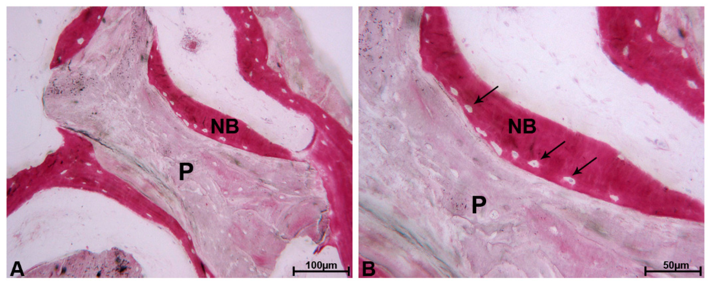 Materials 13 05520 g002