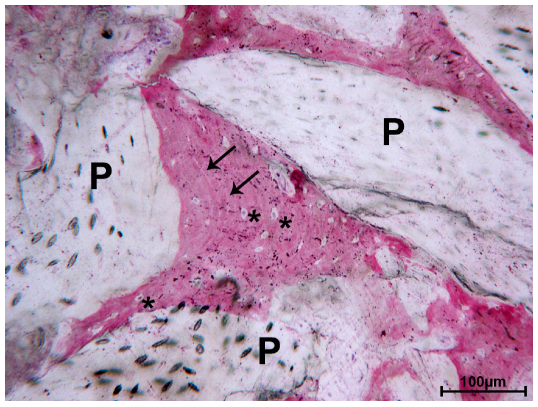 Materials 13 05520 g003