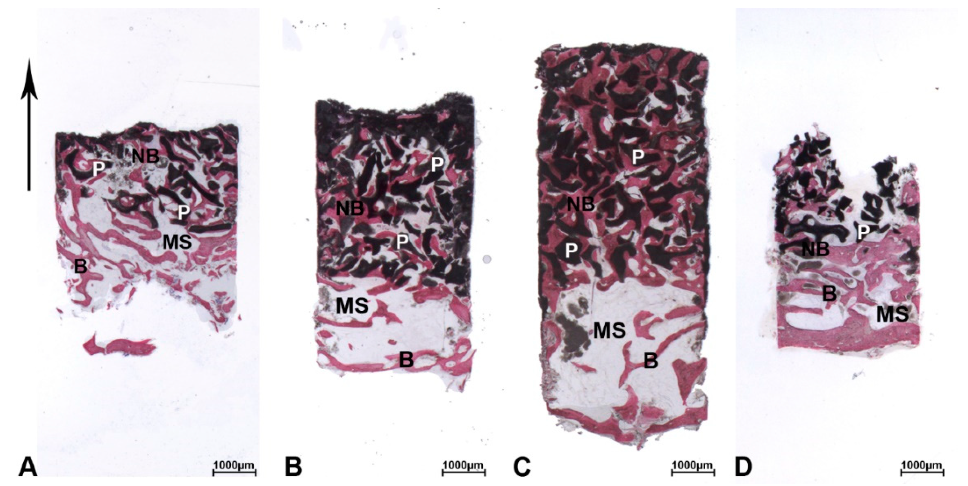 Materials 13 05520 g005