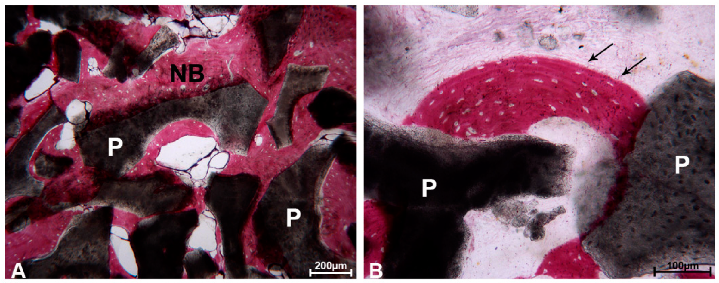 Materials 13 05520 g006