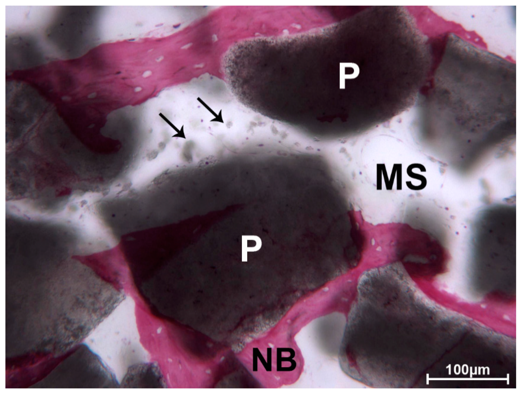 Materials 13 05520 g007