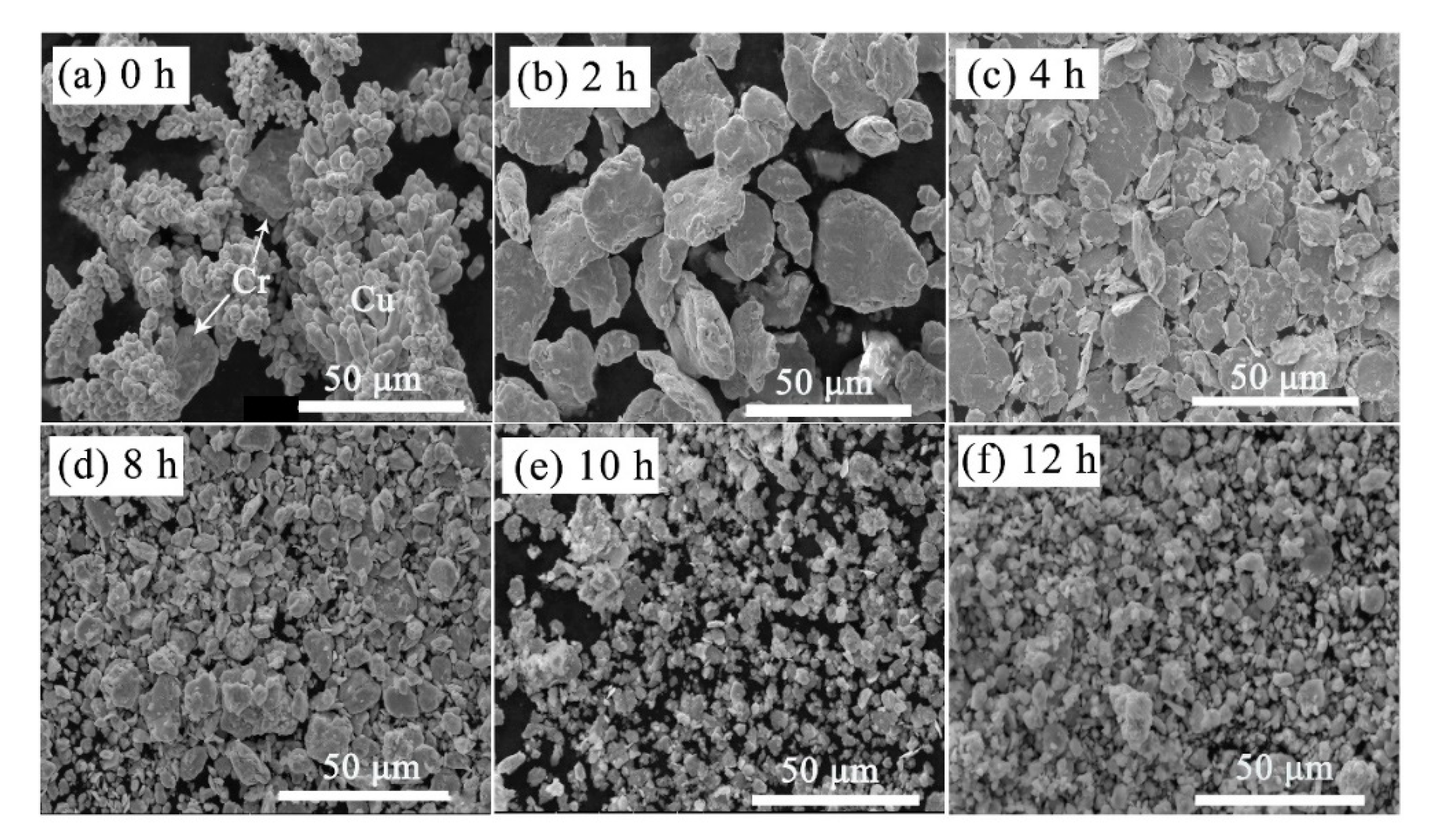 Materials 13 05532 g004