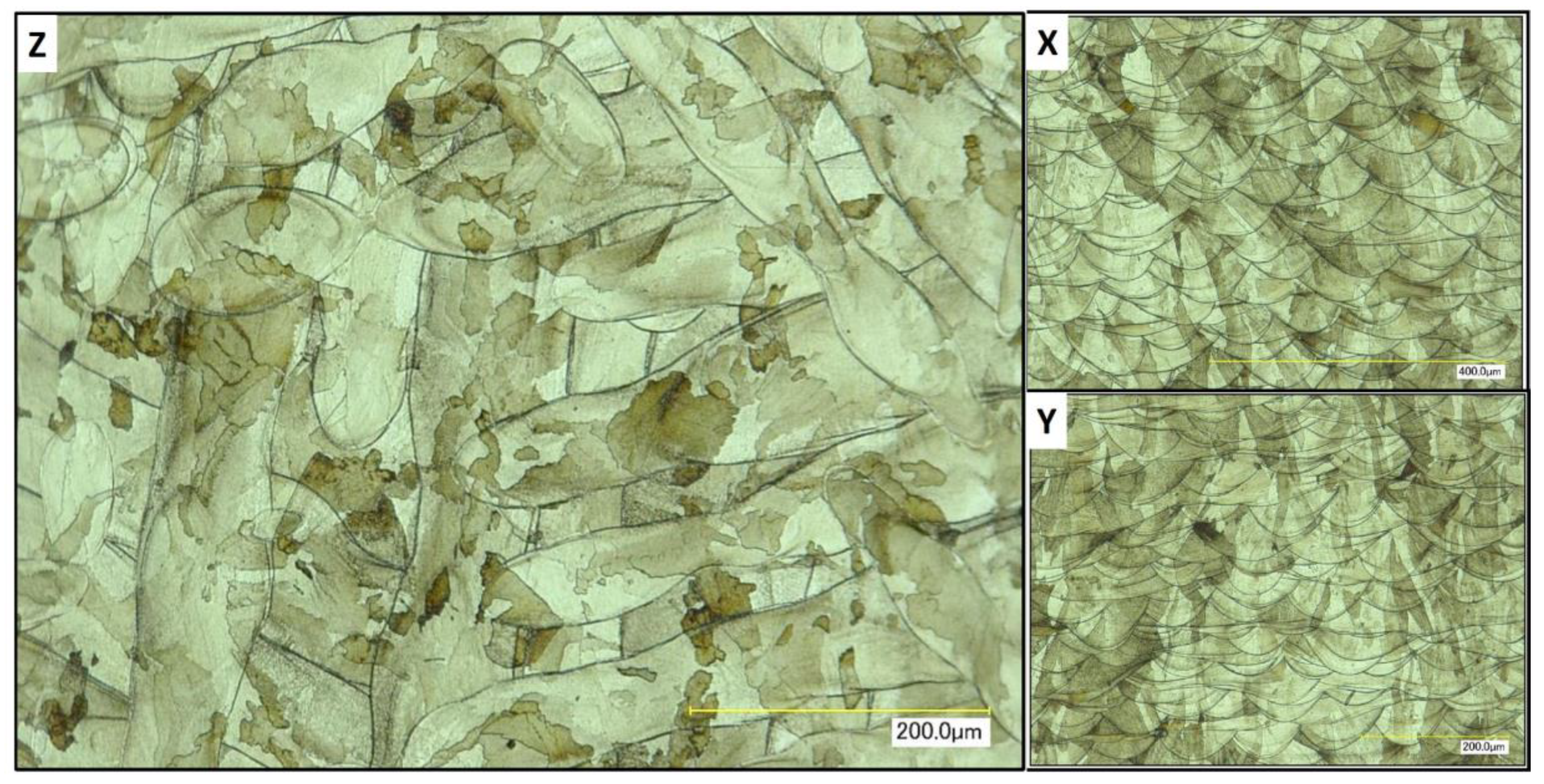 Materials 13 05537 g014