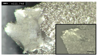 Materials 13 05537 i002