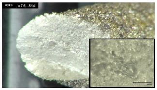 Materials 13 05537 i003