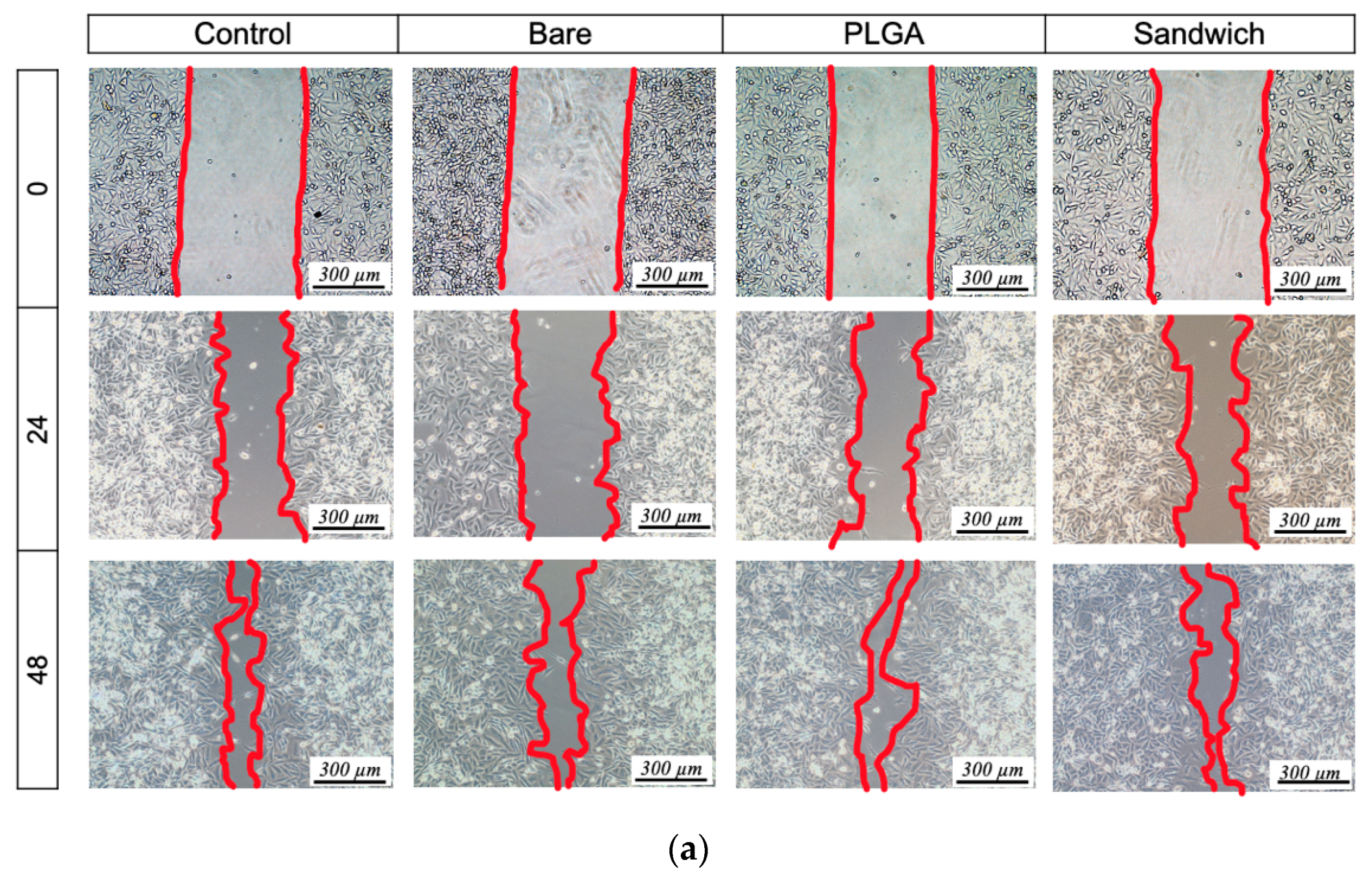 Materials 13 05538 g008a