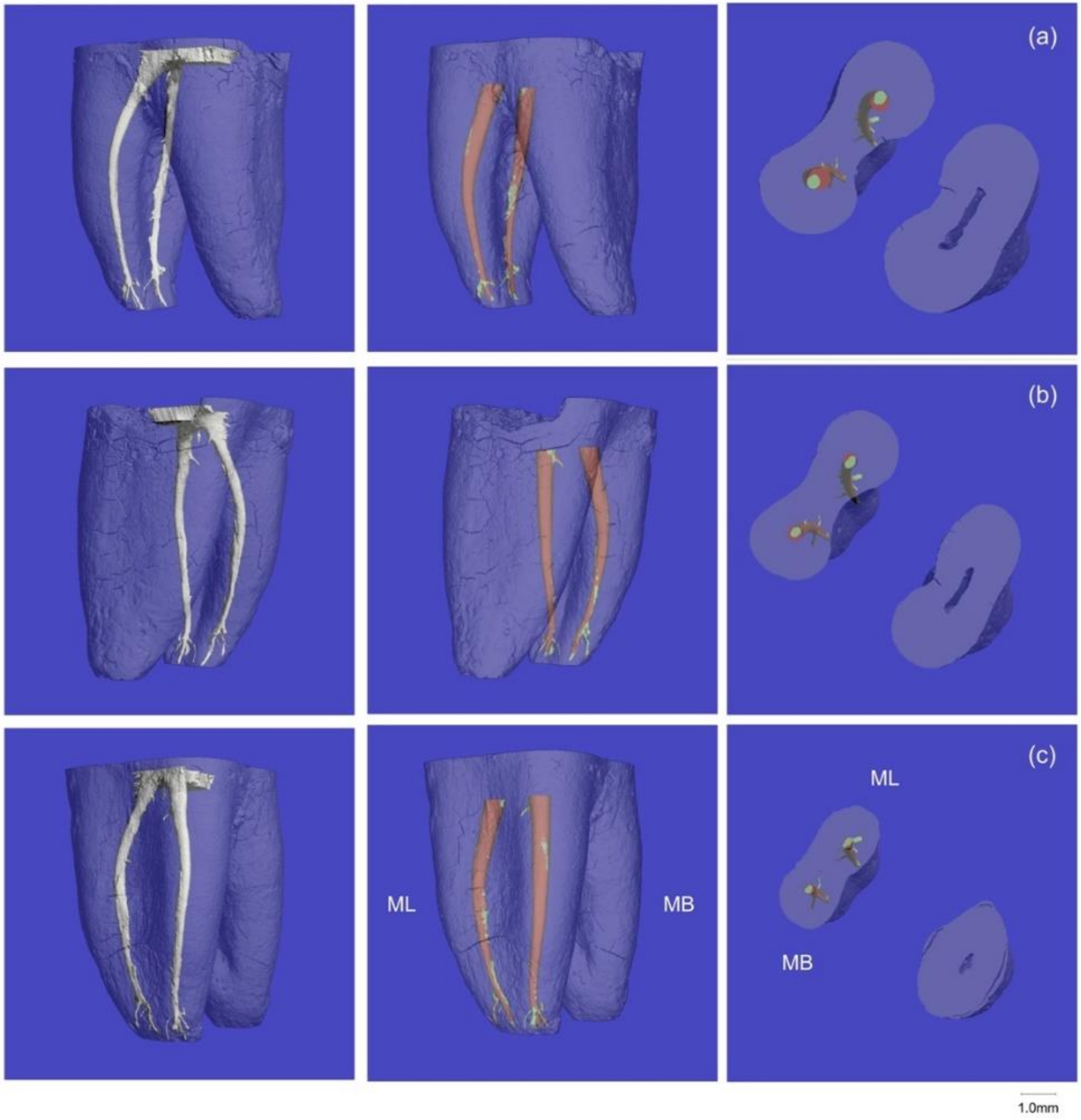 Materials 13 05546 g002