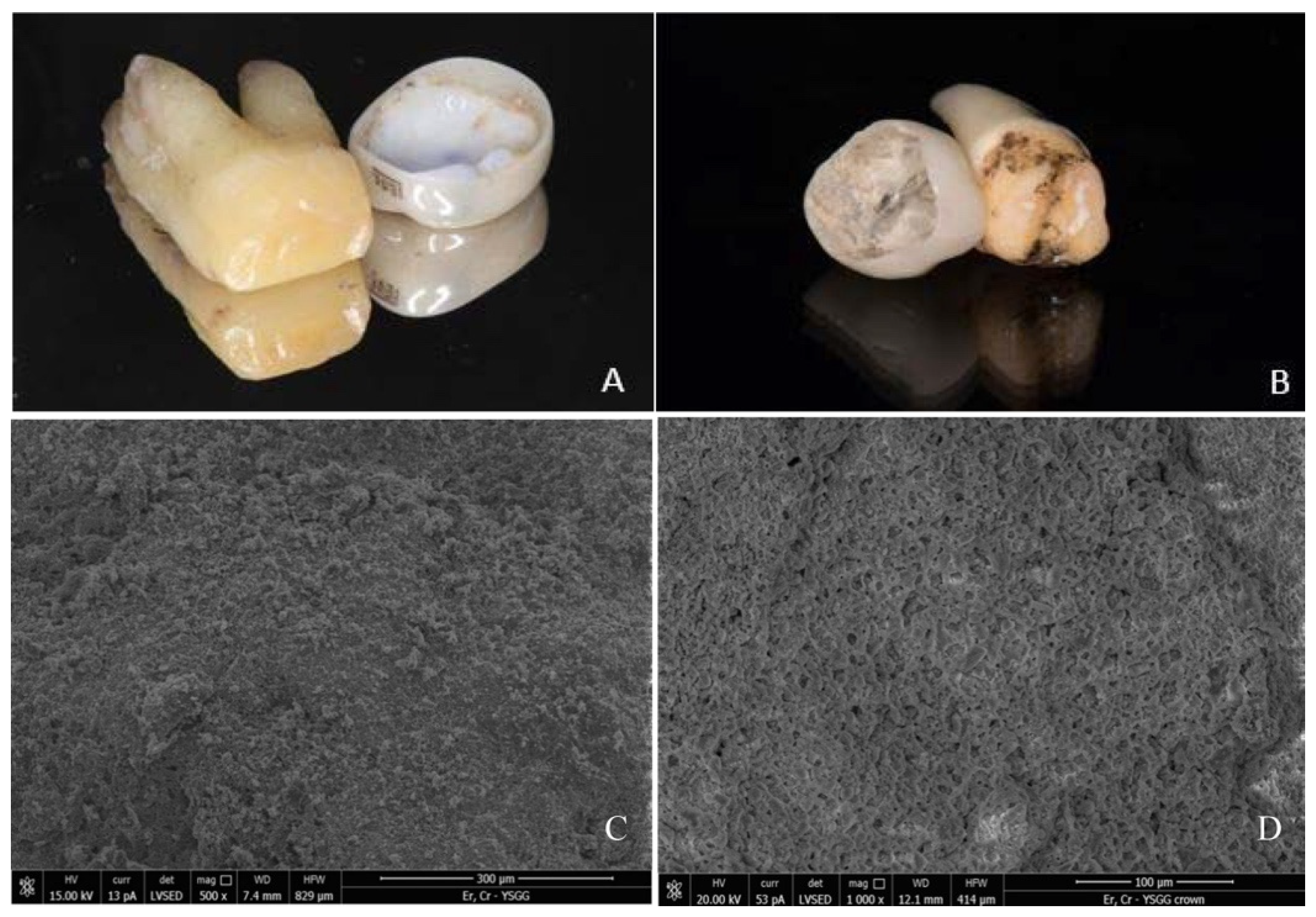 Materials 13 05569 g003