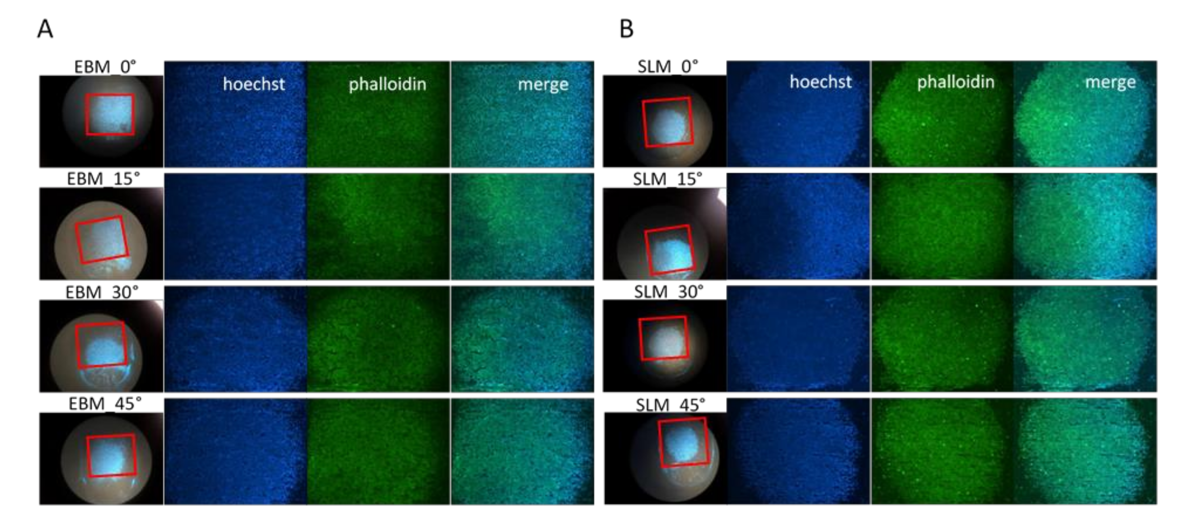 Materials 13 05584 g007