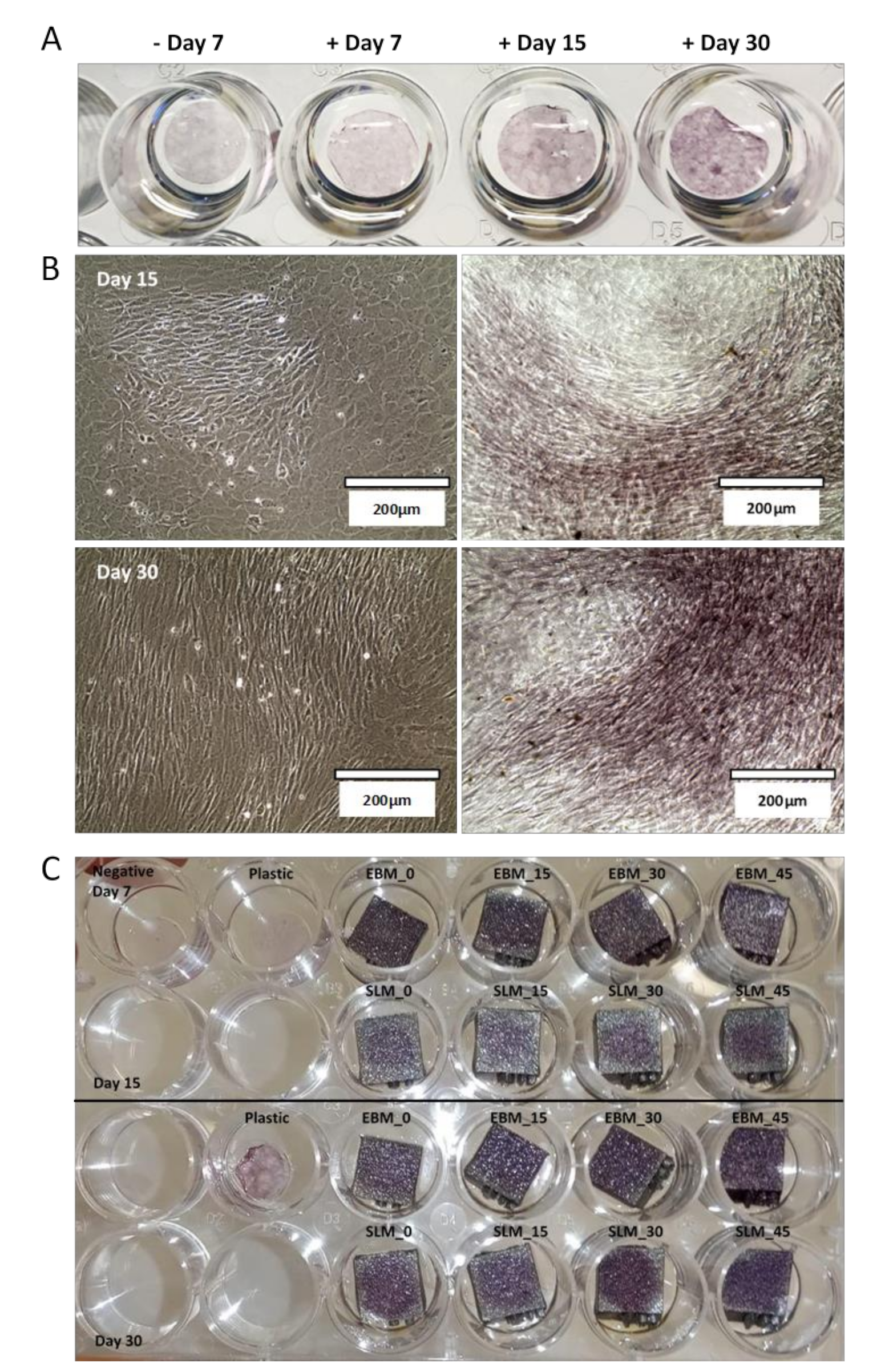 Materials 13 05584 g008