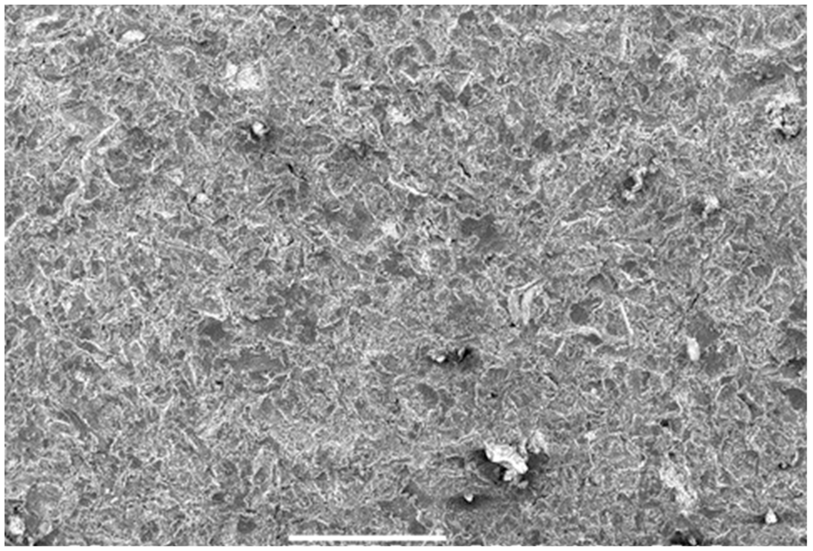 Materials 13 05590 g005