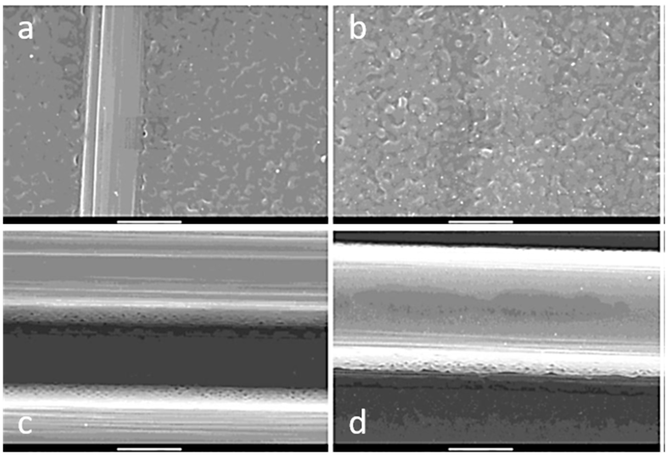 Materials 13 05590 g008