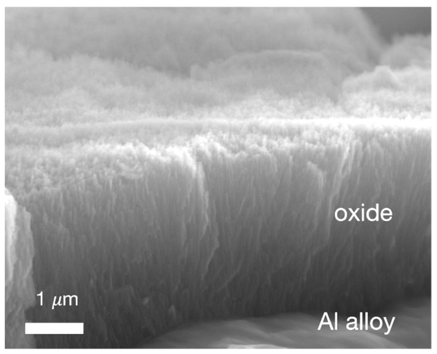 Materials 13 05590 g009