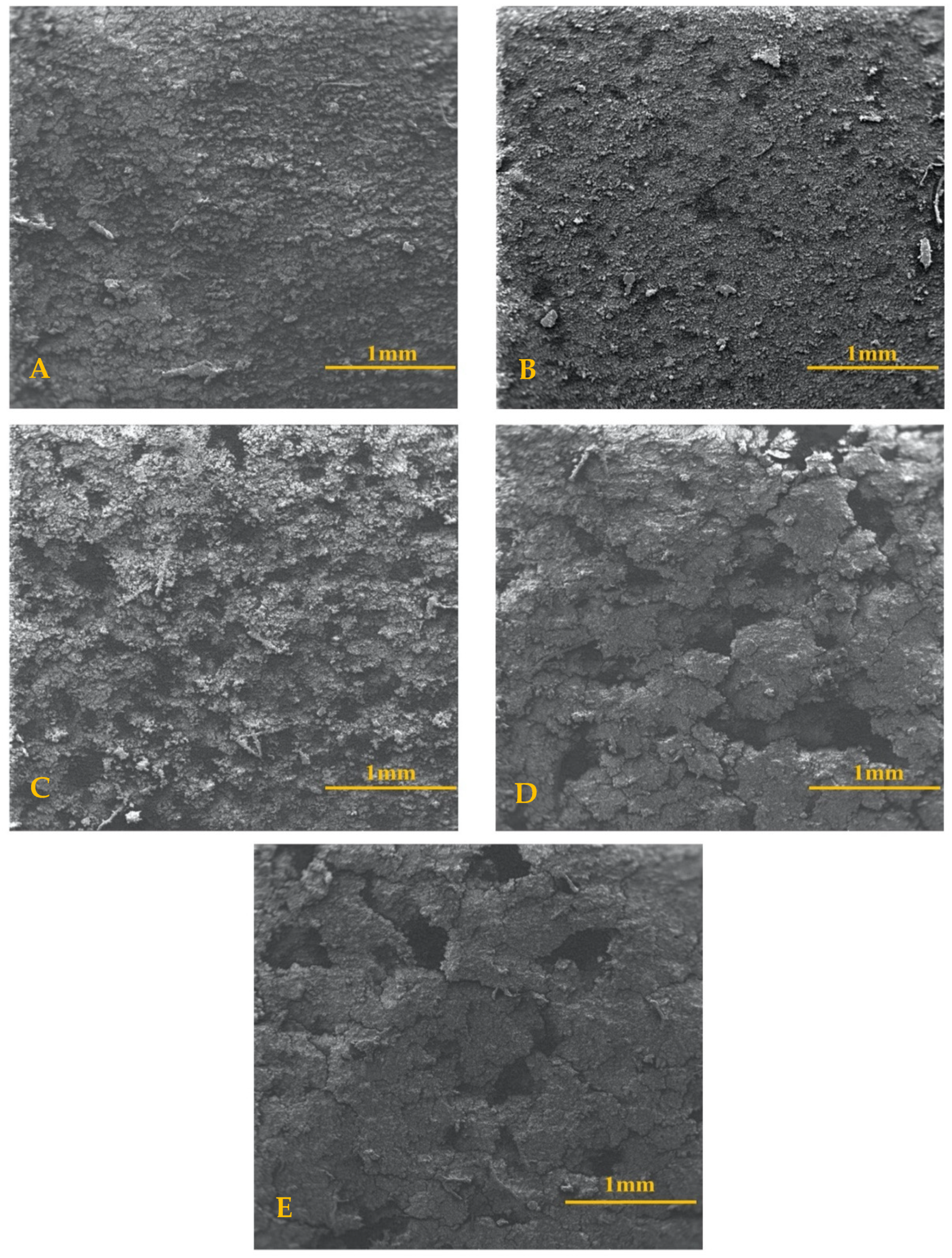 Materials 13 05593 g002