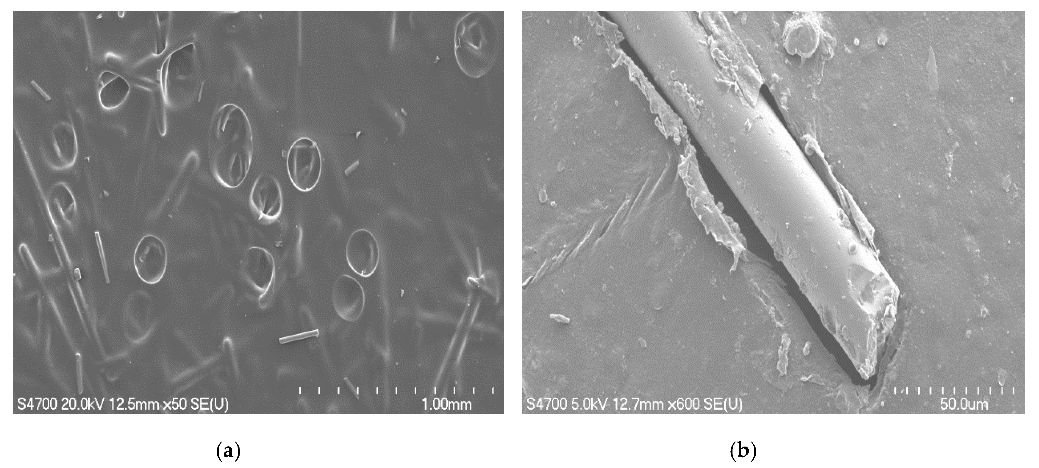 Materials 13 05597 g009