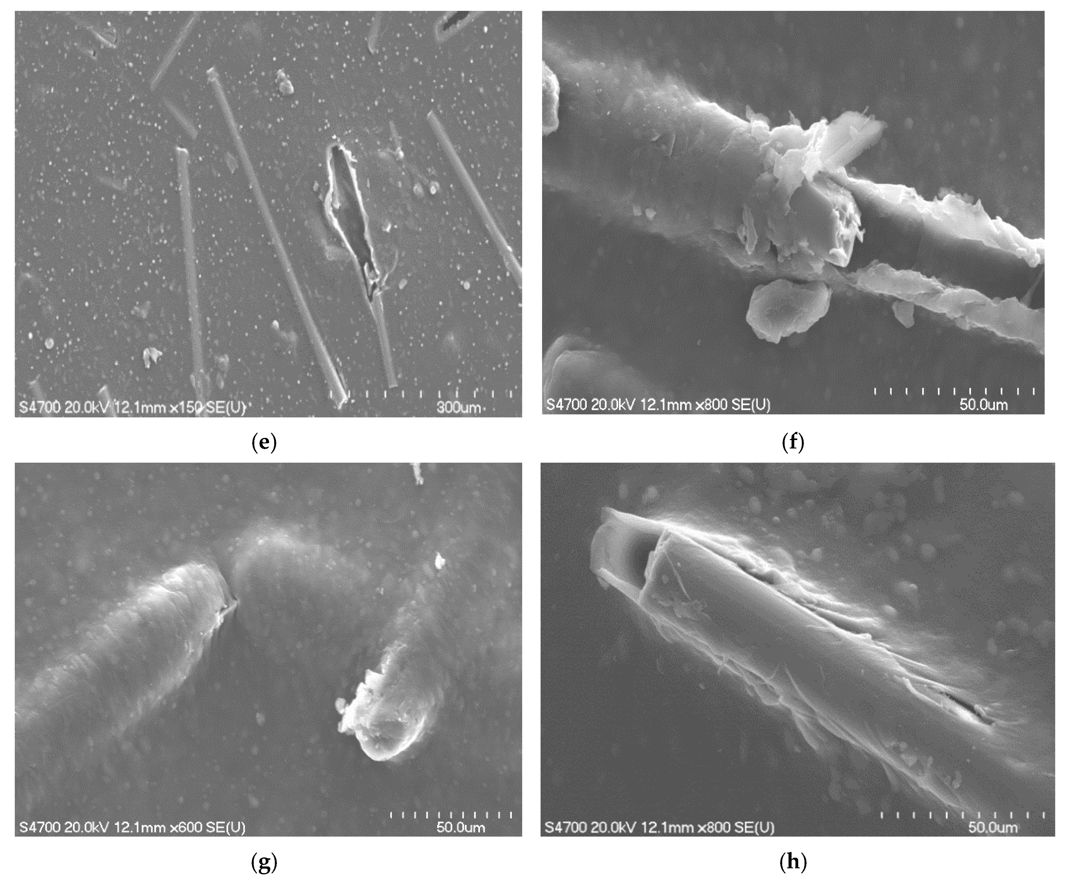 Materials 13 05597 g010b