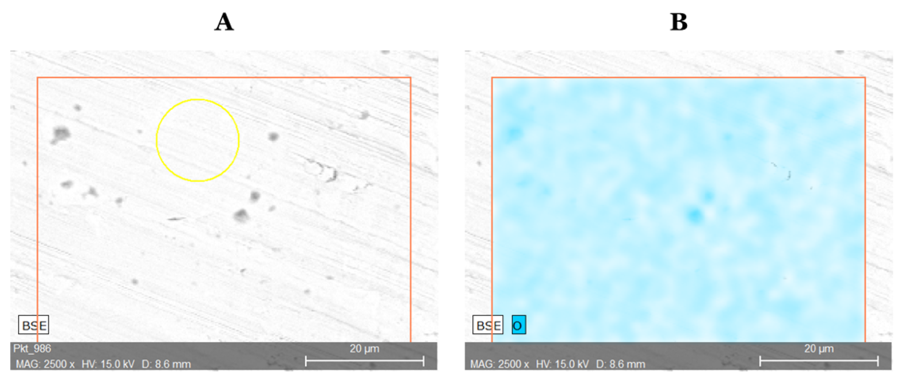 Materials 13 05600 g004 Materials 13 05600 g004