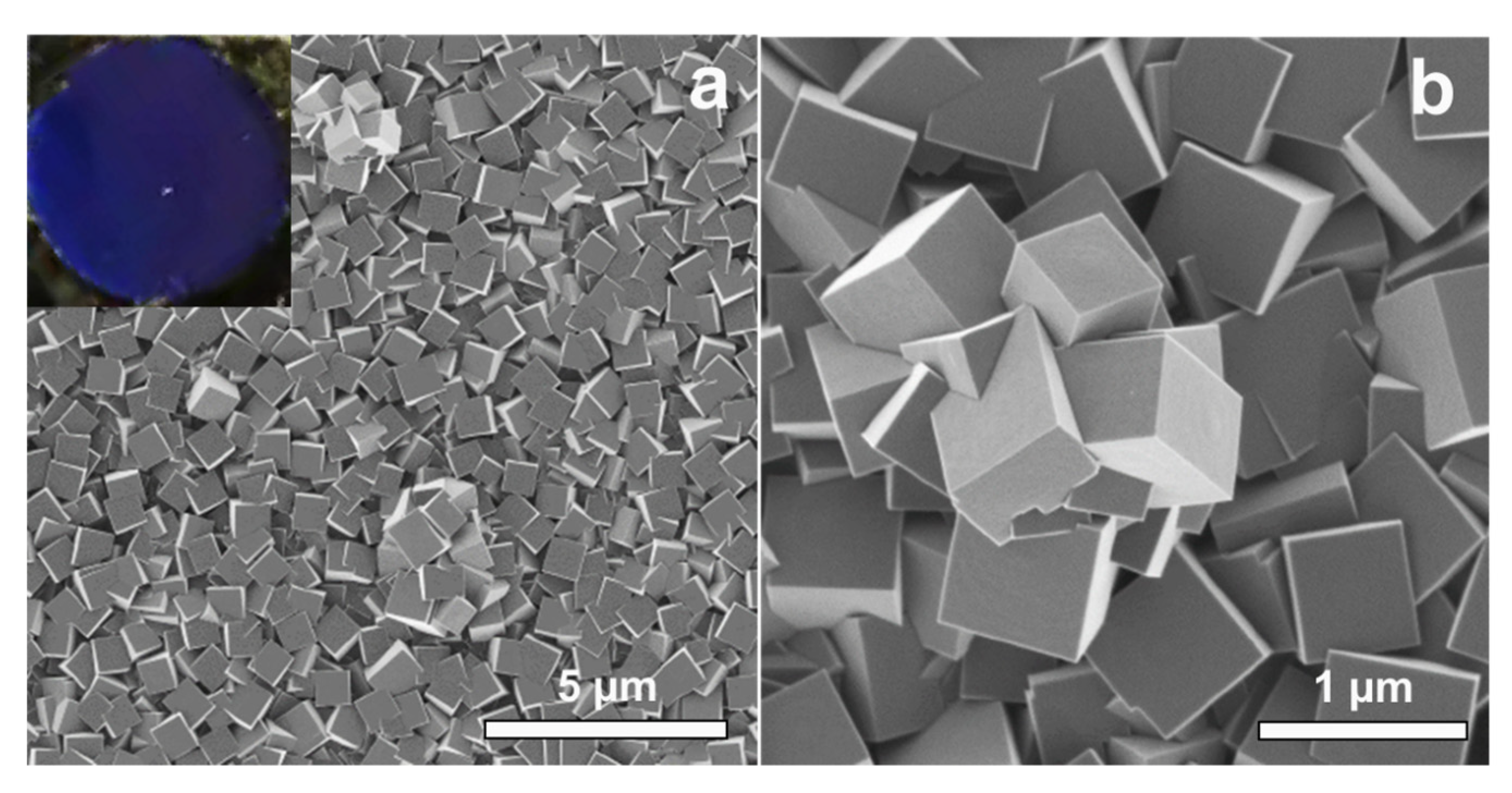 Materials 13 05618 g001