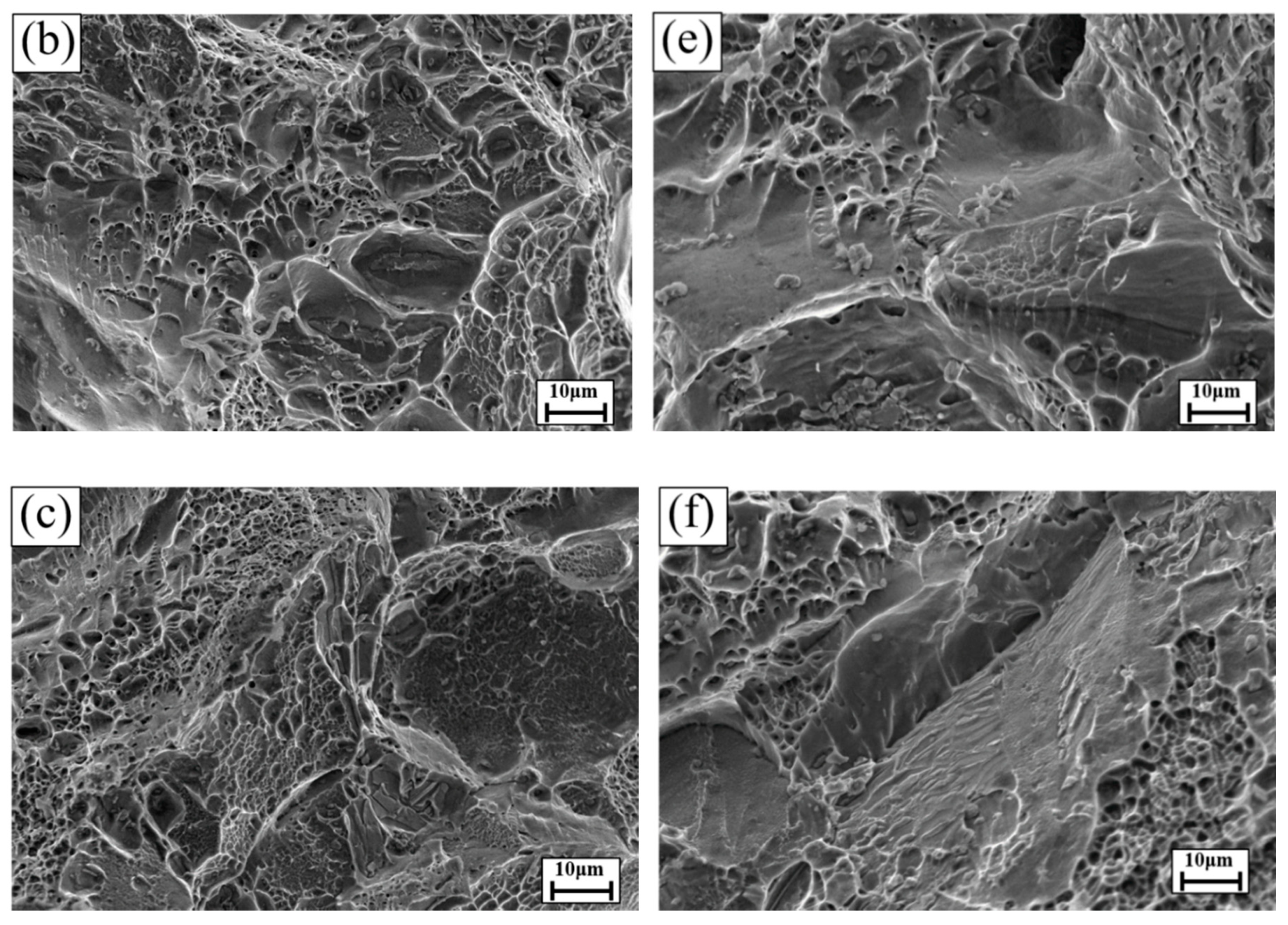 Materials 13 05631 g003b Materials 13 05631 g003b