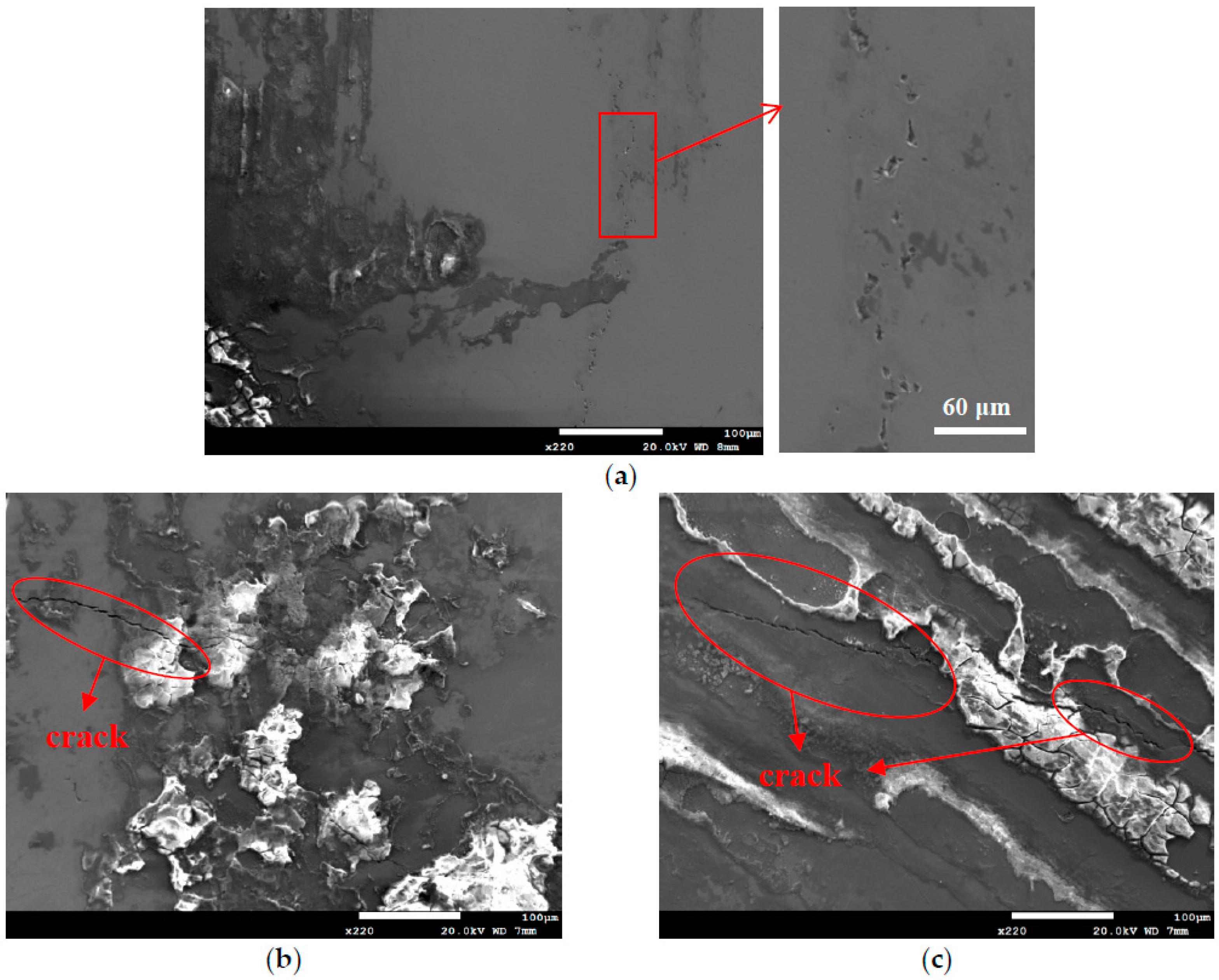 Materials 13 05640 g012