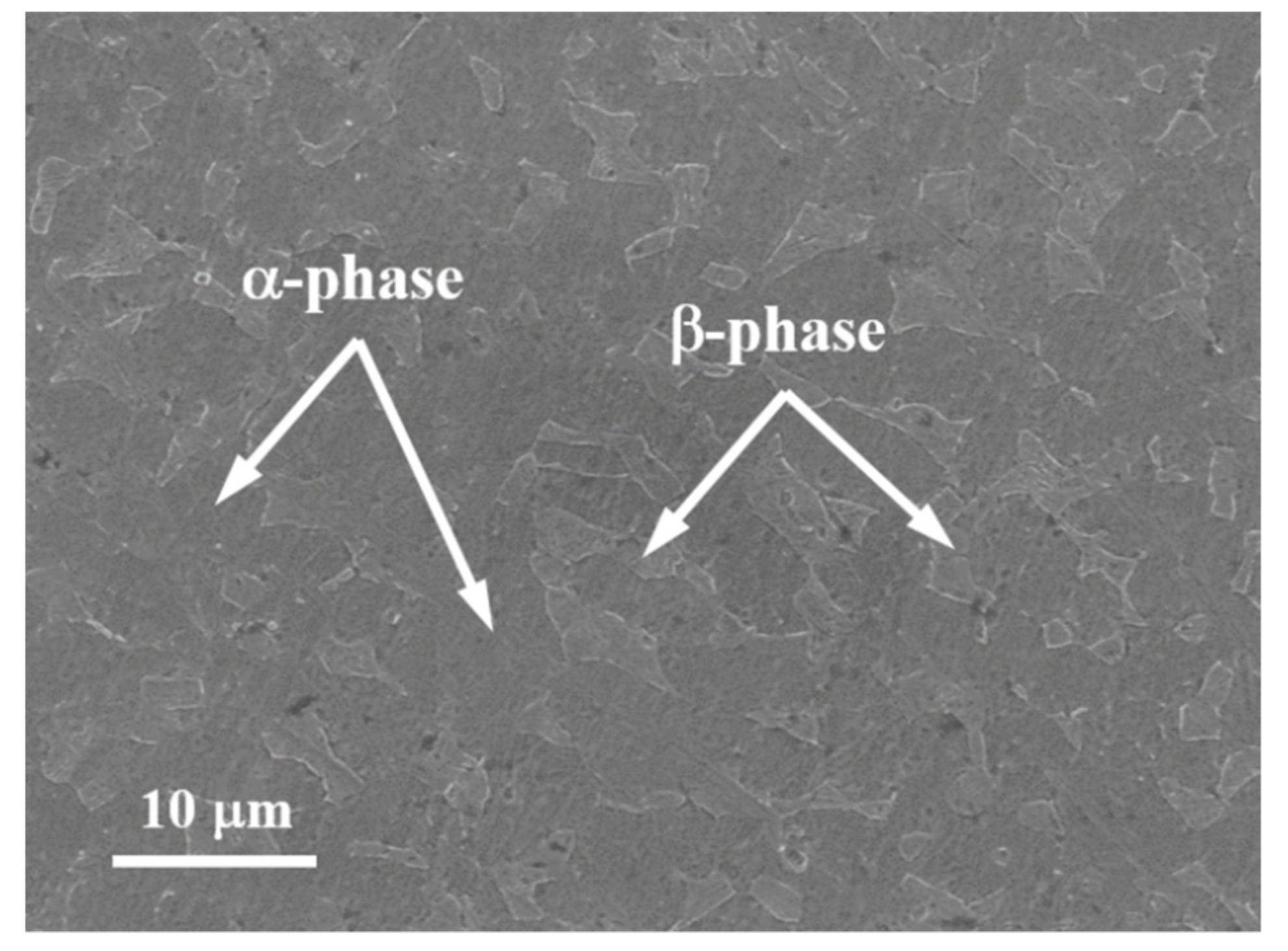 Materials 13 05646 g001