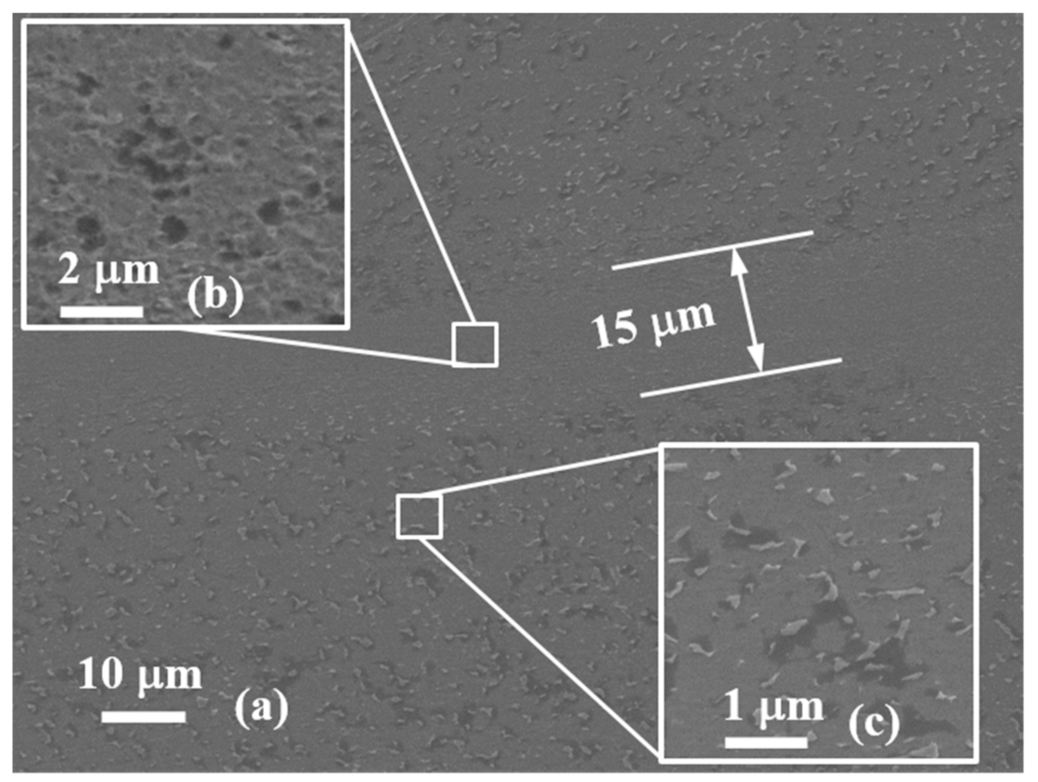 Materials 13 05646 g004