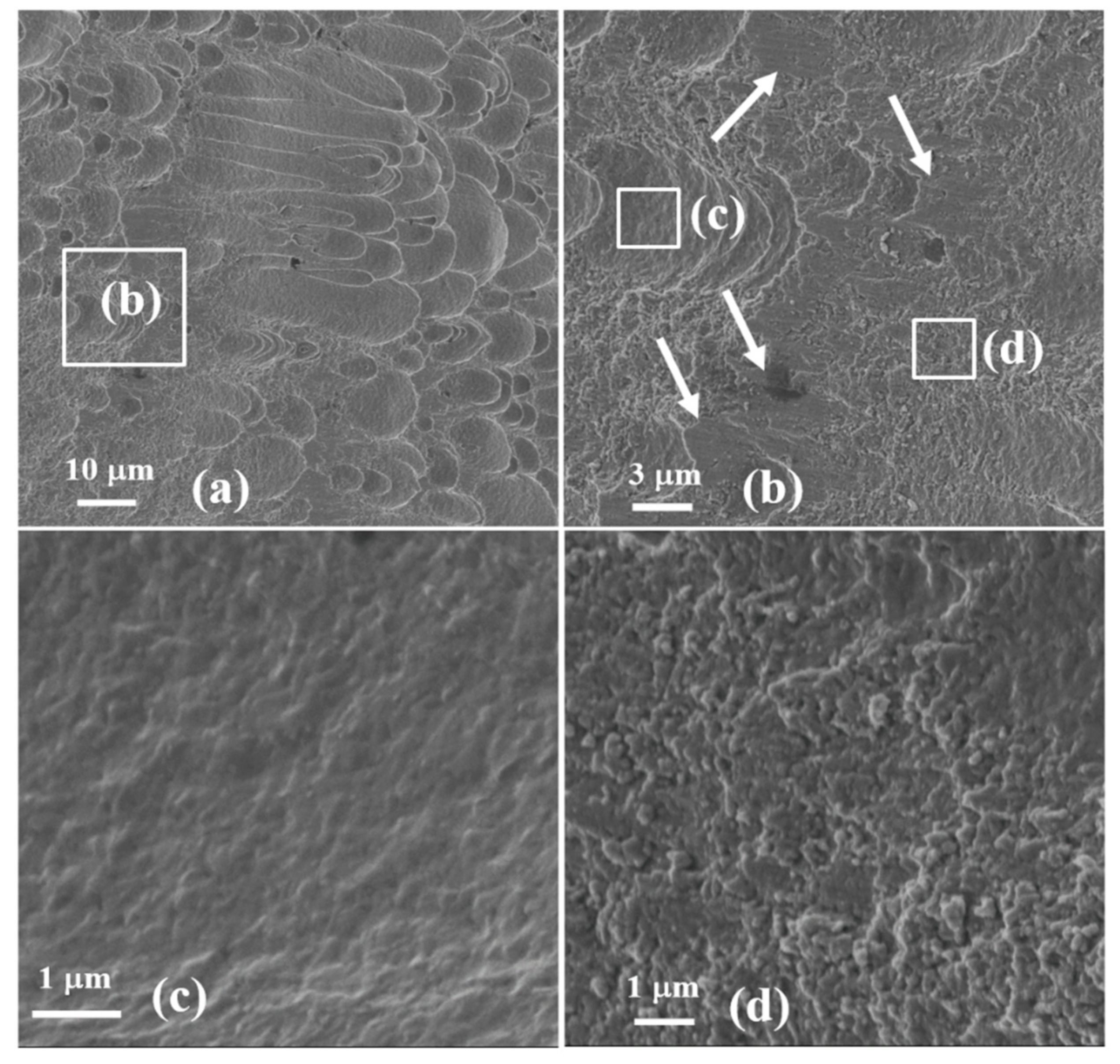 Materials 13 05646 g007