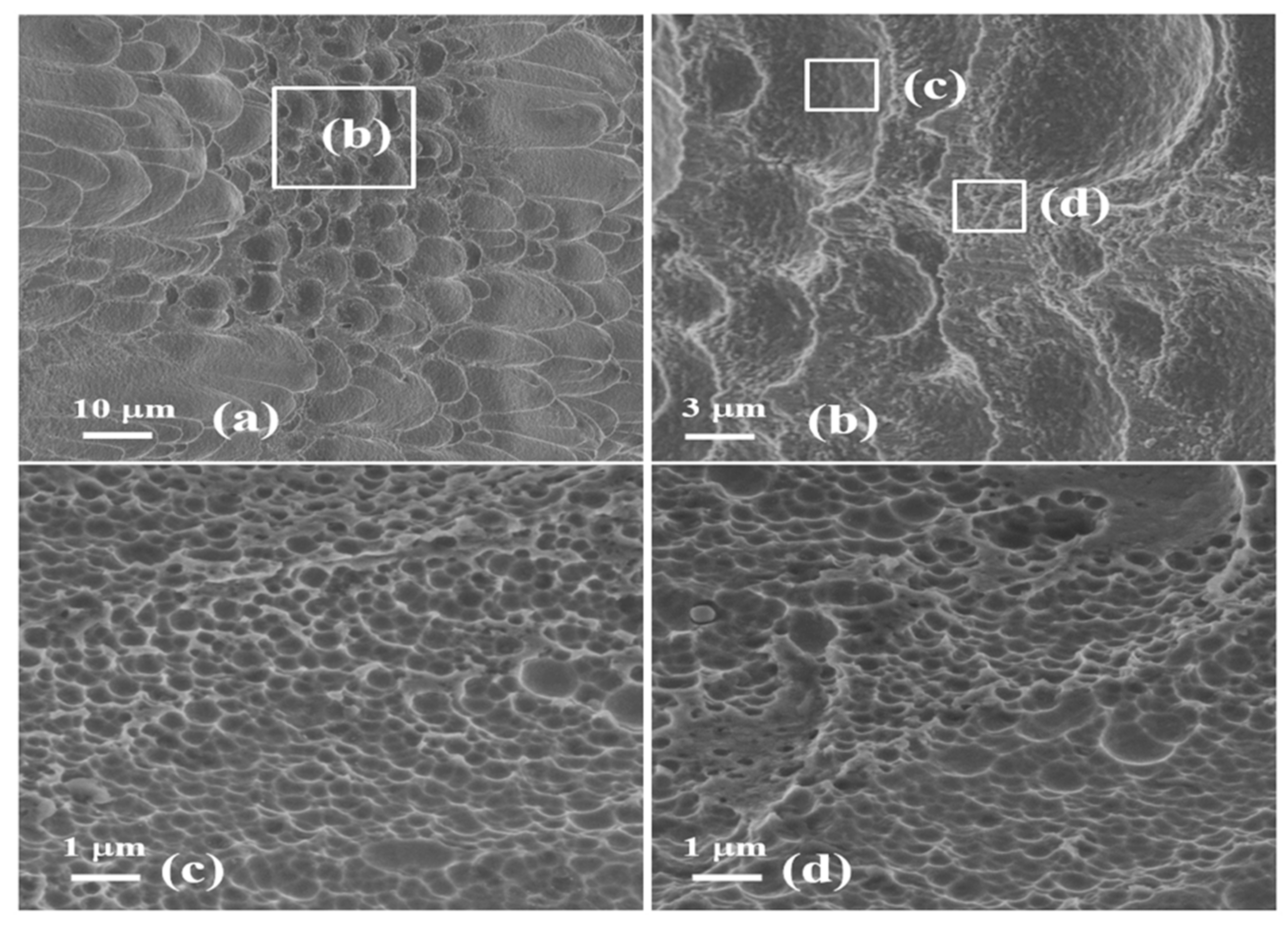 Materials 13 05646 g008