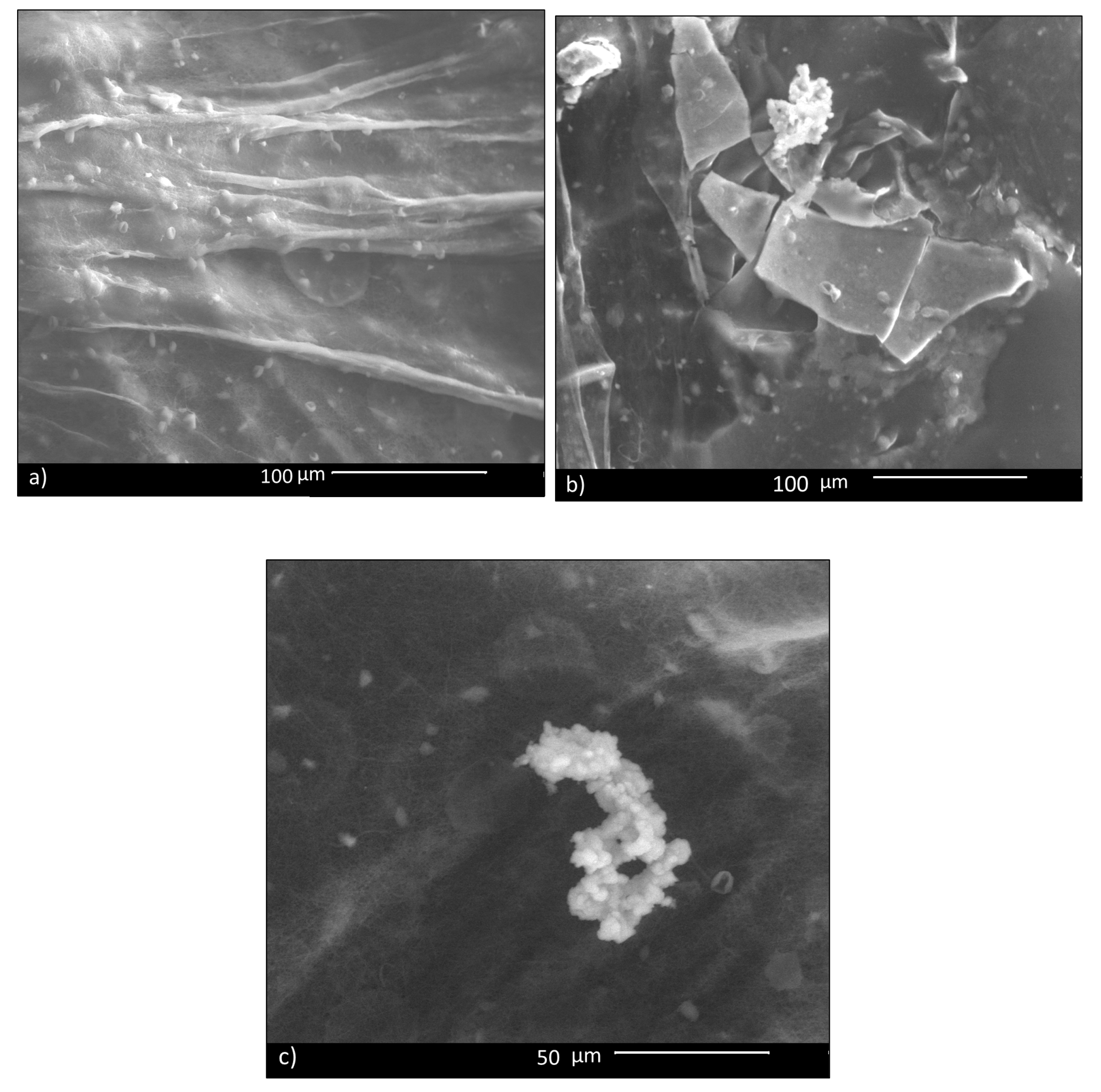 Materials 13 05651 g005