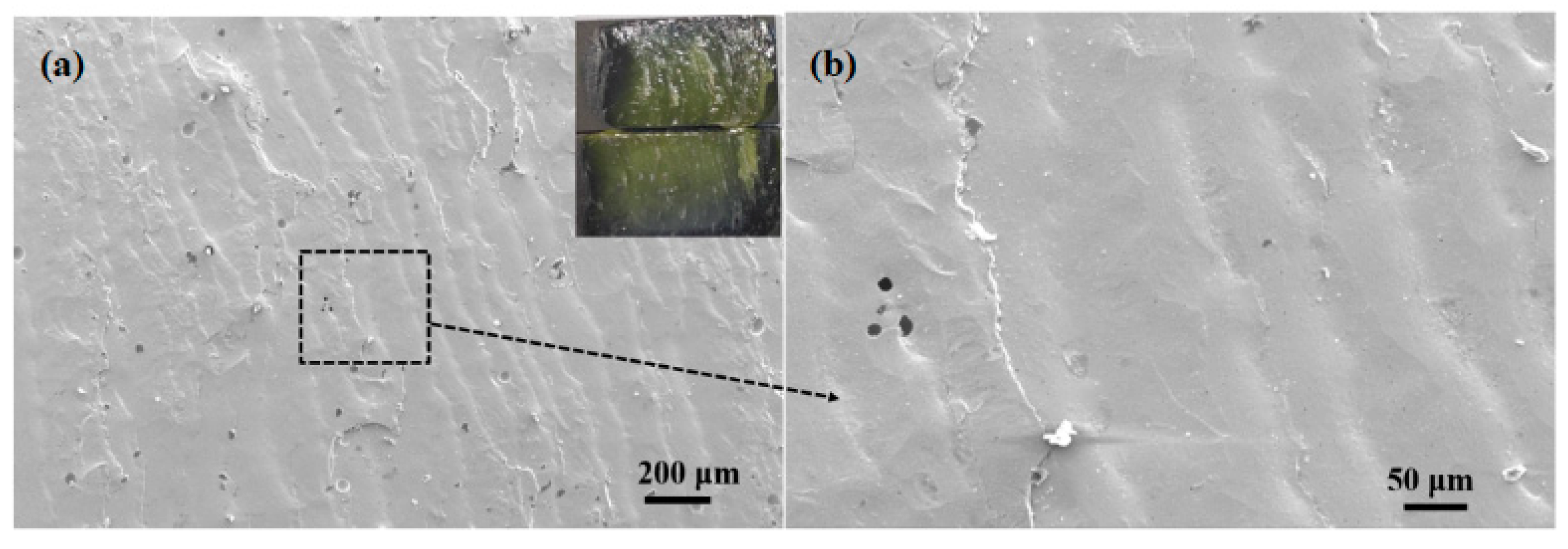 Materials 13 05658 g015