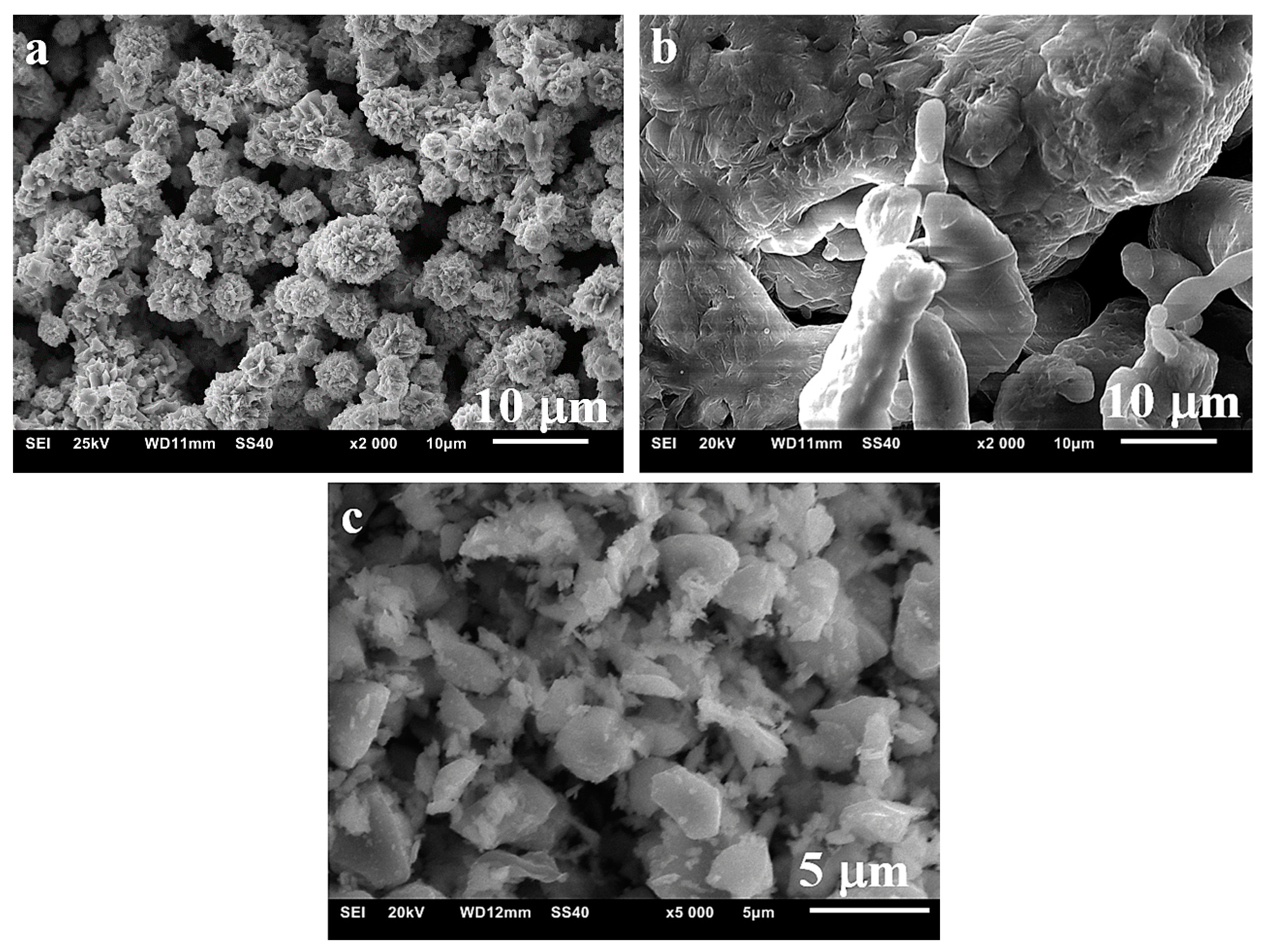 Materials 13 05668 g001