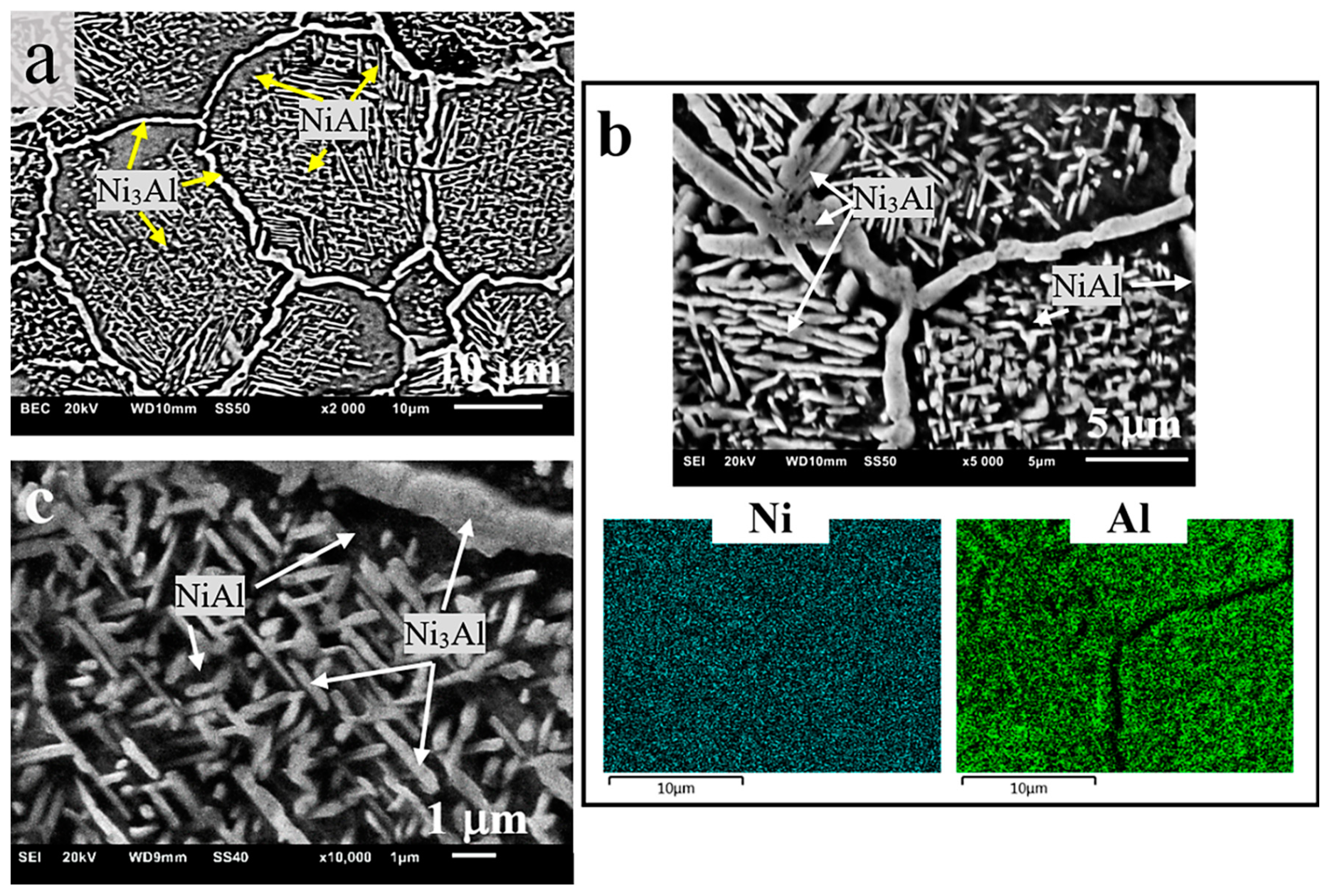 Materials 13 05668 g004