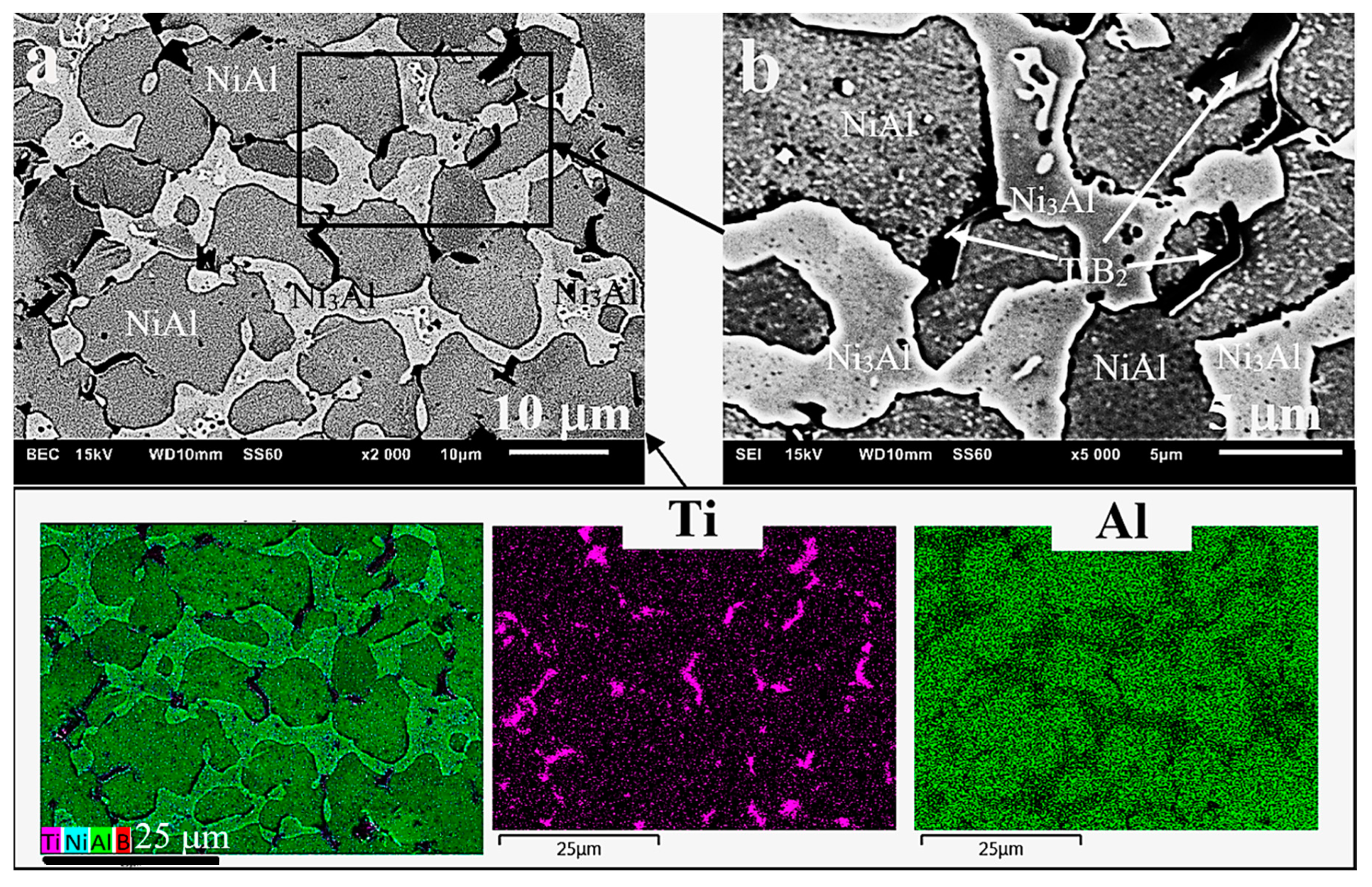 Materials 13 05668 g007
