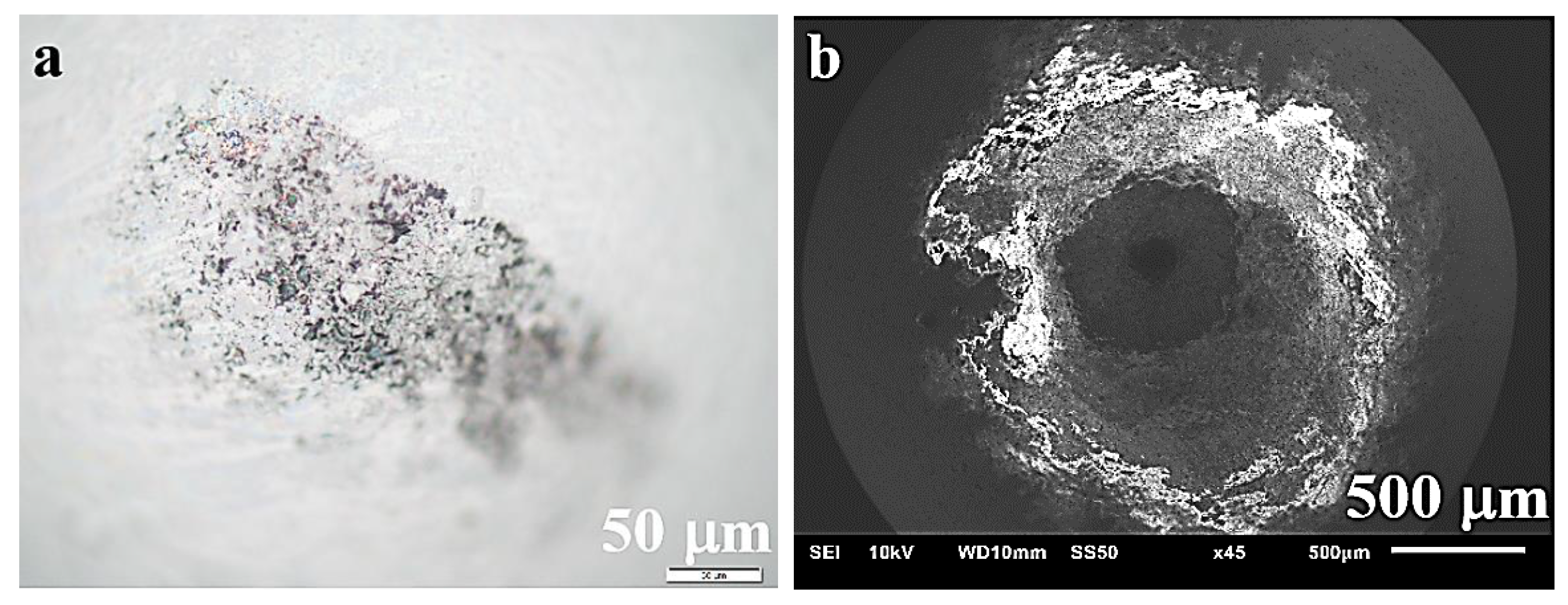 Materials 13 05668 g013