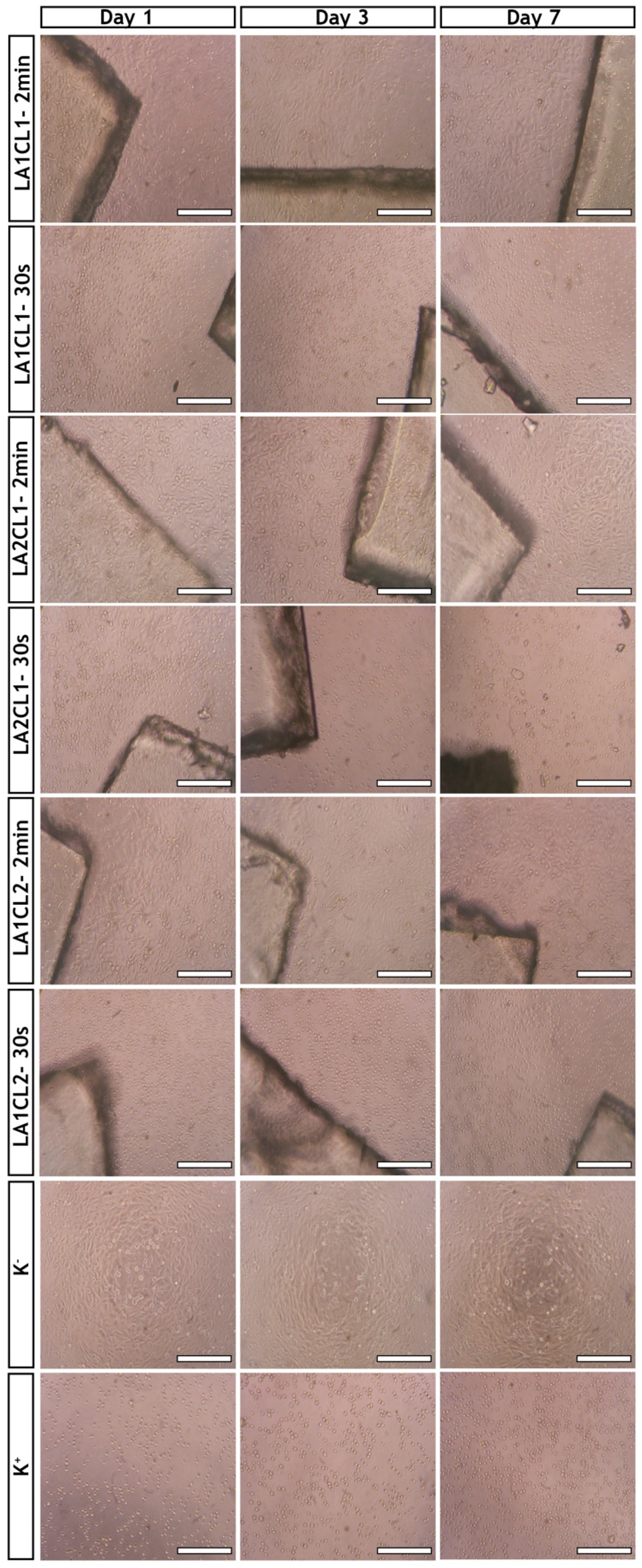 Materials 13 05681 g007 Materials 13 05681 g007