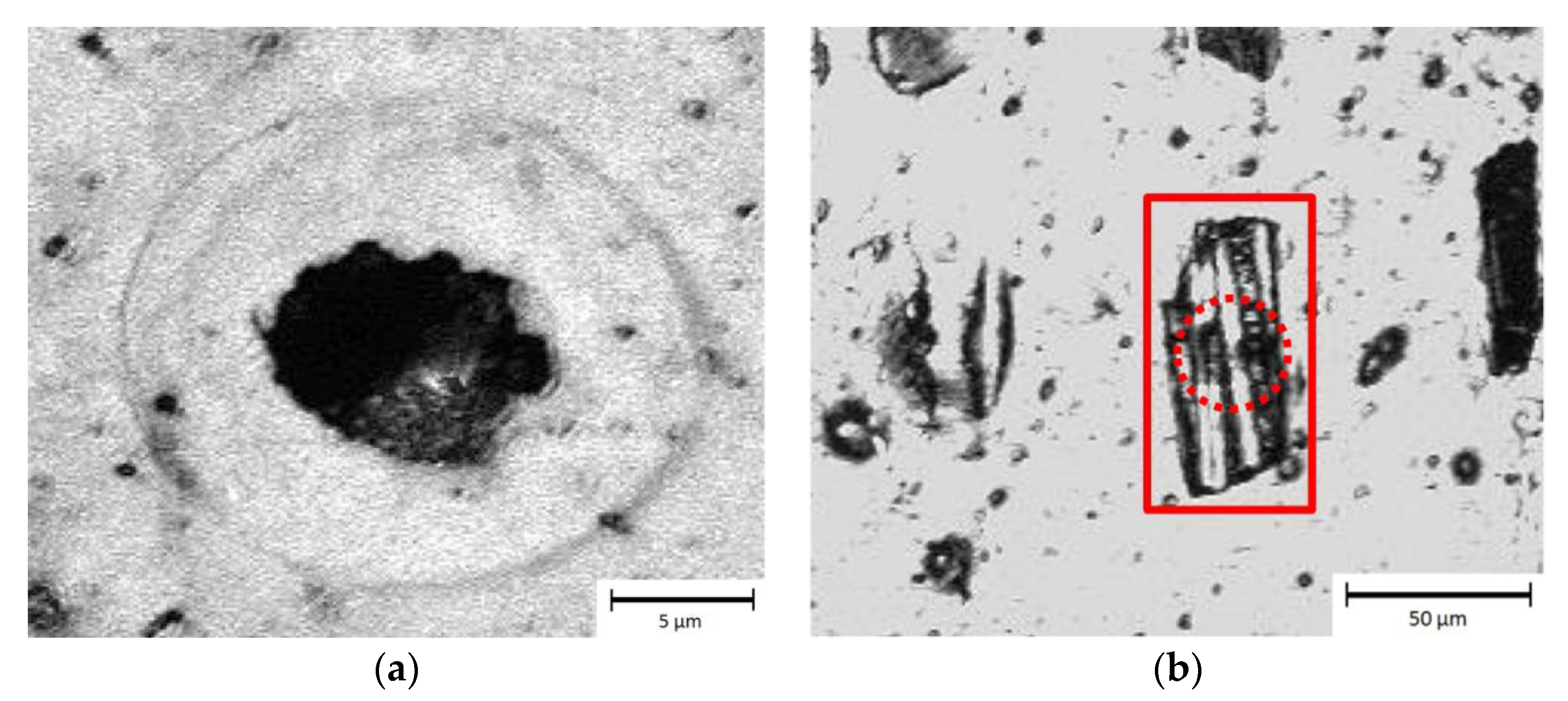 Materials 13 05682 g003