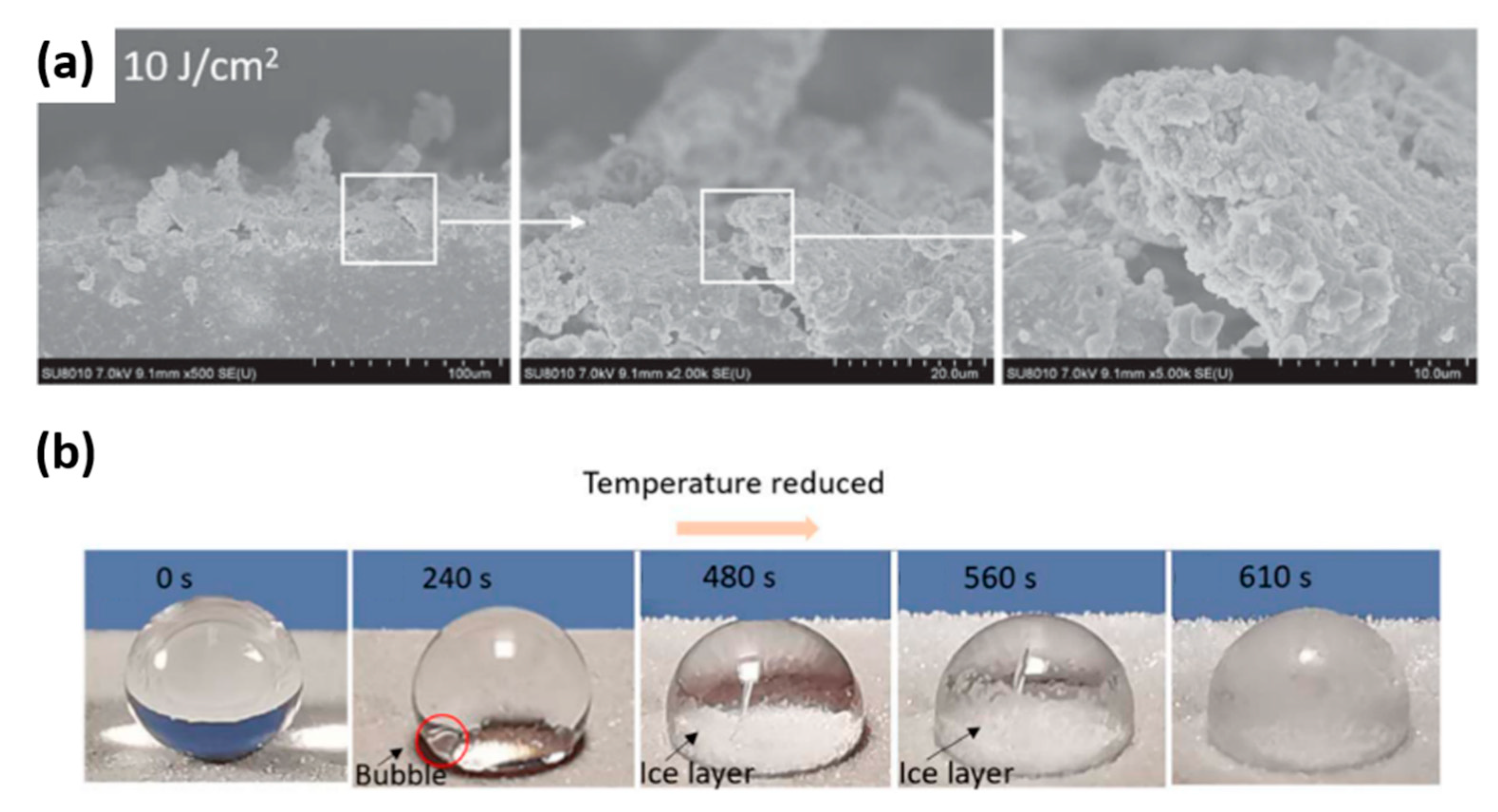 Materials 13 05692 g010