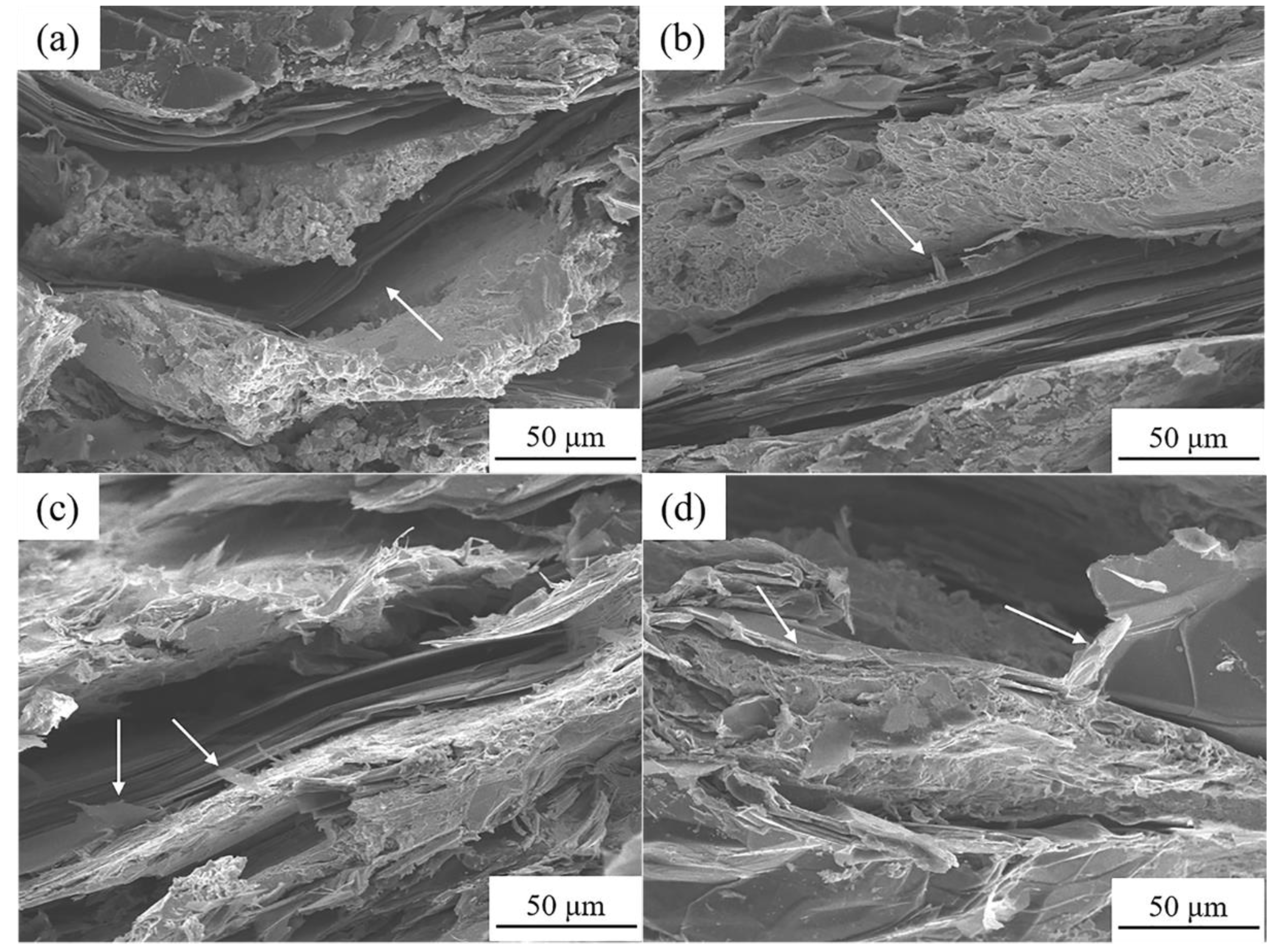 Materials 13 05709 g013