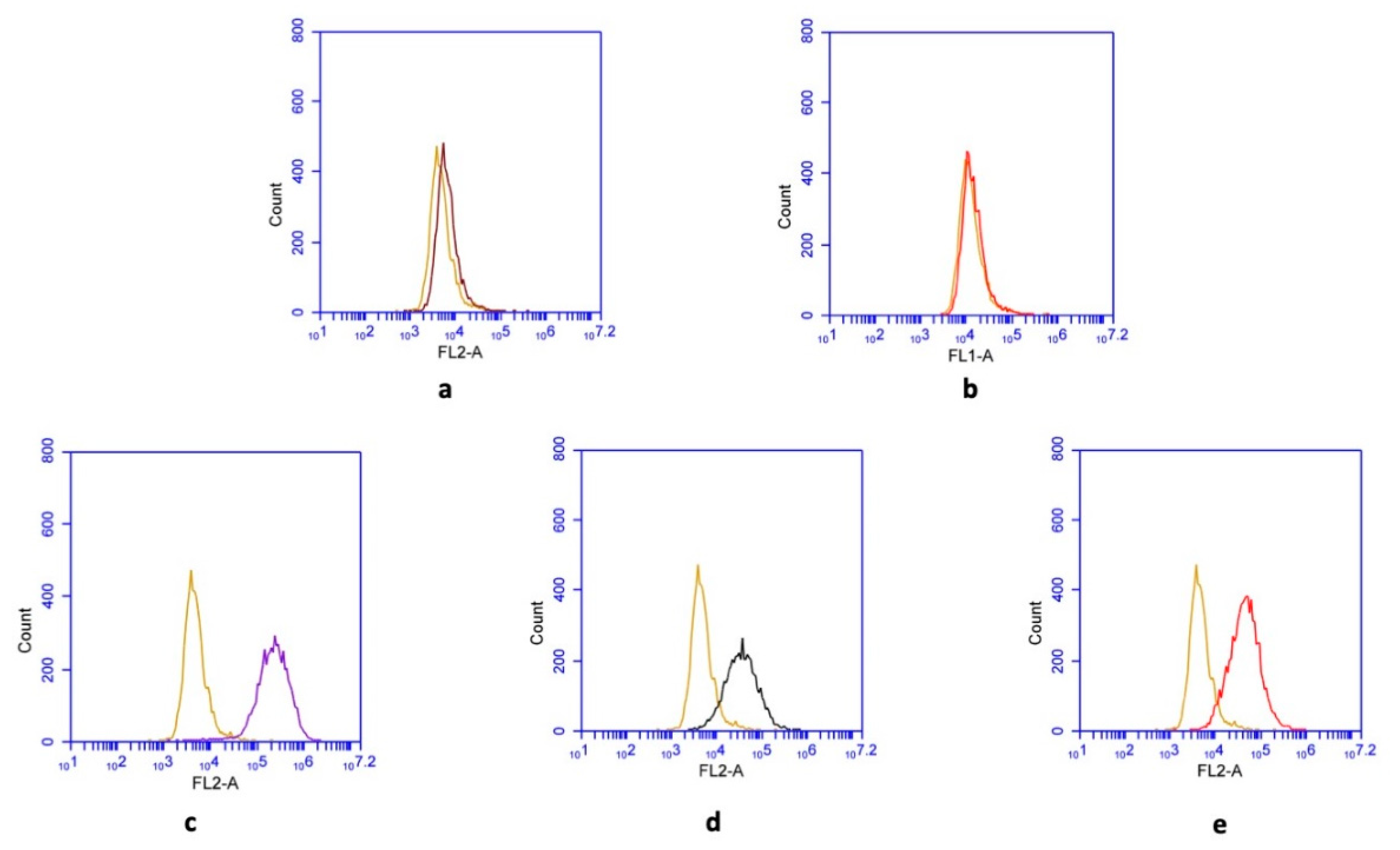 Materials 13 05712 g001