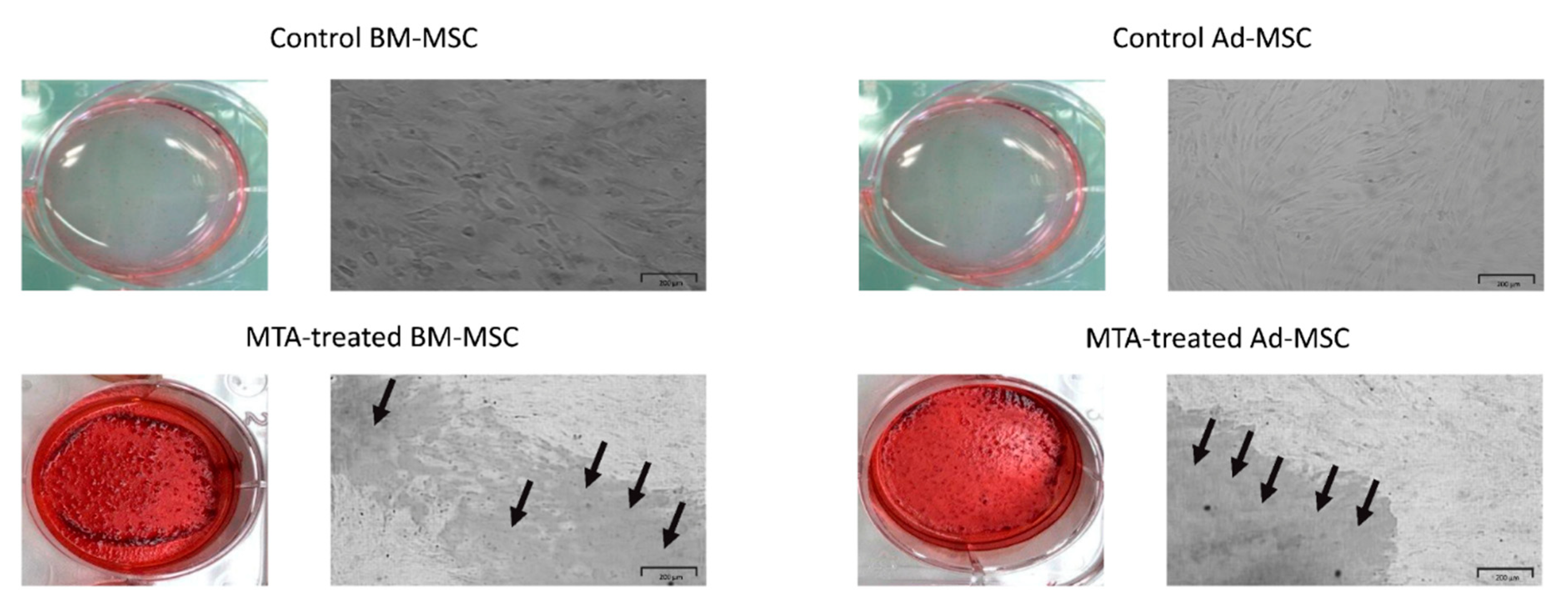 Materials 13 05712 g004